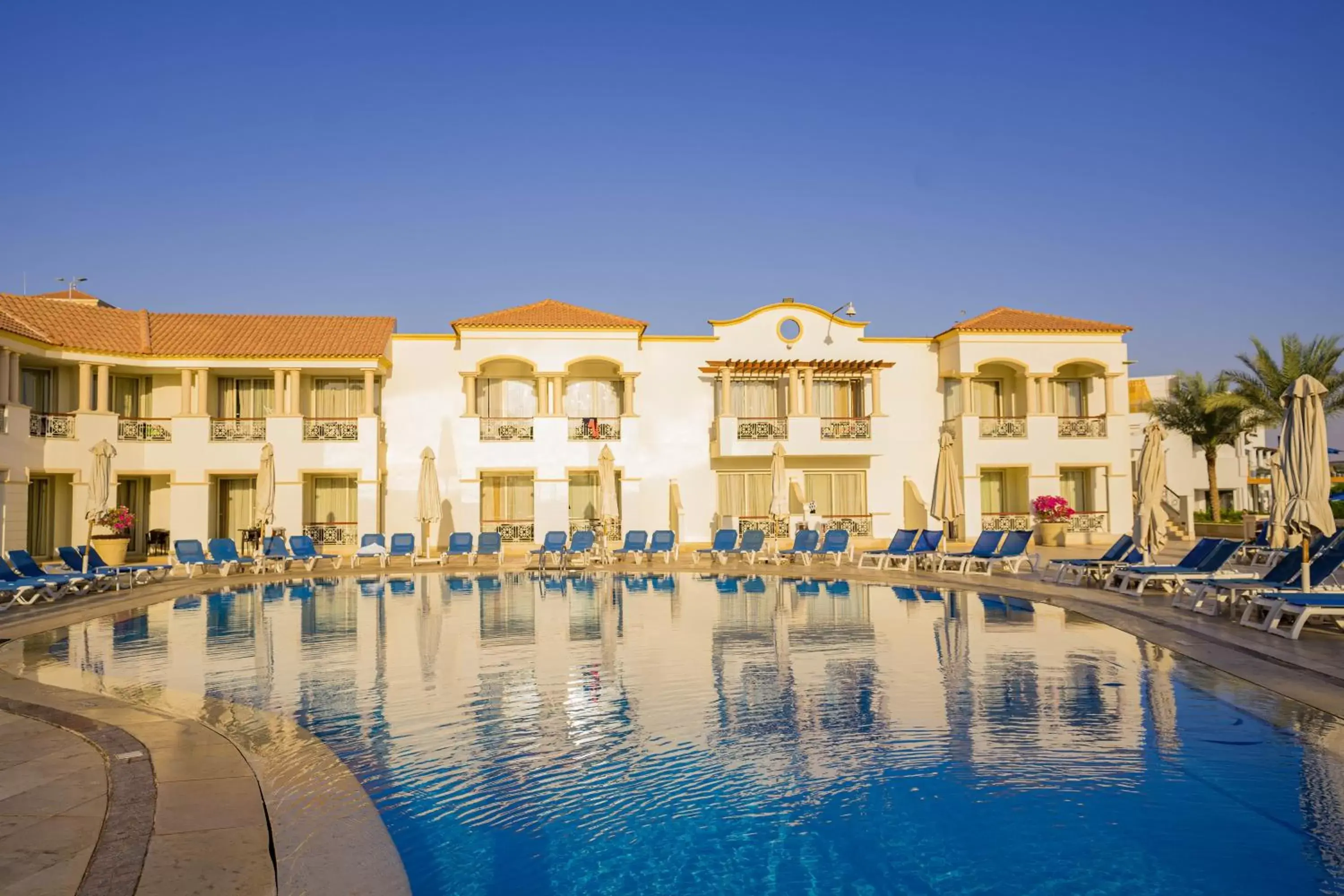 Pool view, Swimming Pool in Marina Sharm Hotel