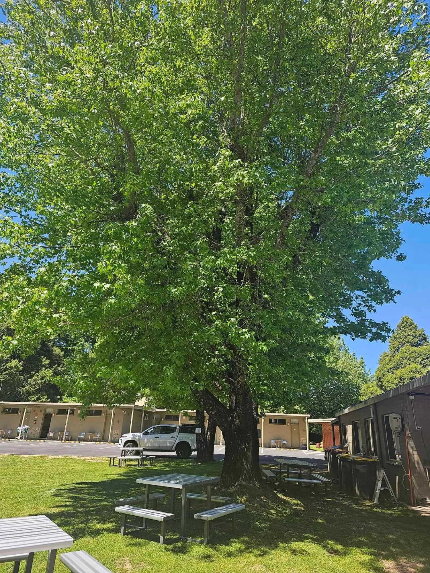 BBQ facilities in The Bright Motor Inn
