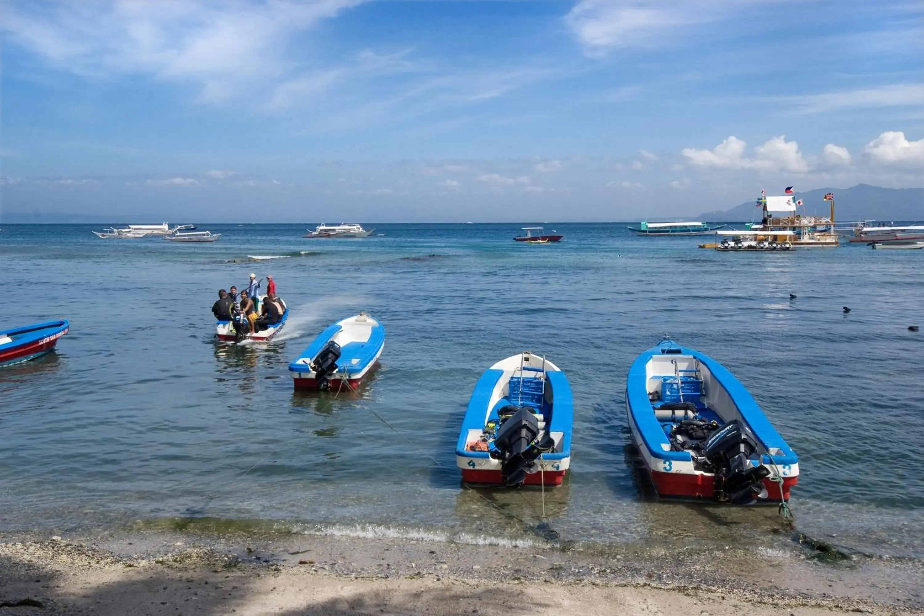 Diving, Beach in Atlantis Dive Resort Puerto Galera