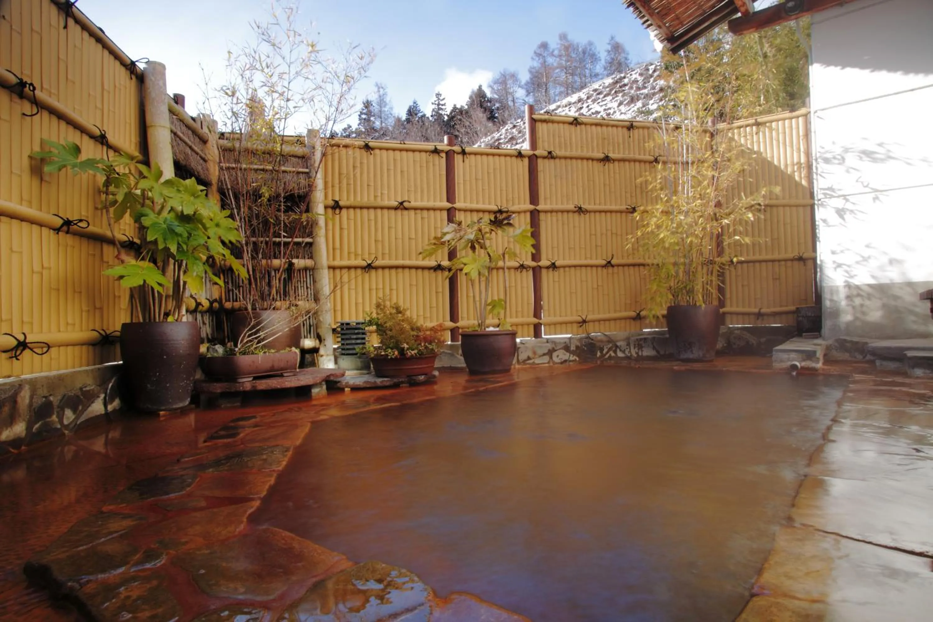 Hot Spring Bath in Sakaeya