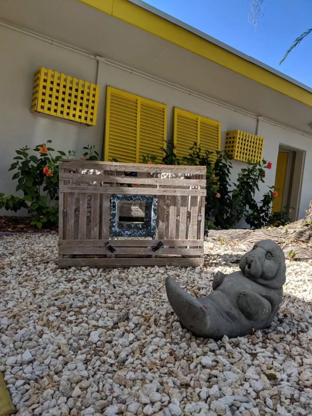 Garden in Coconut Cay Resort