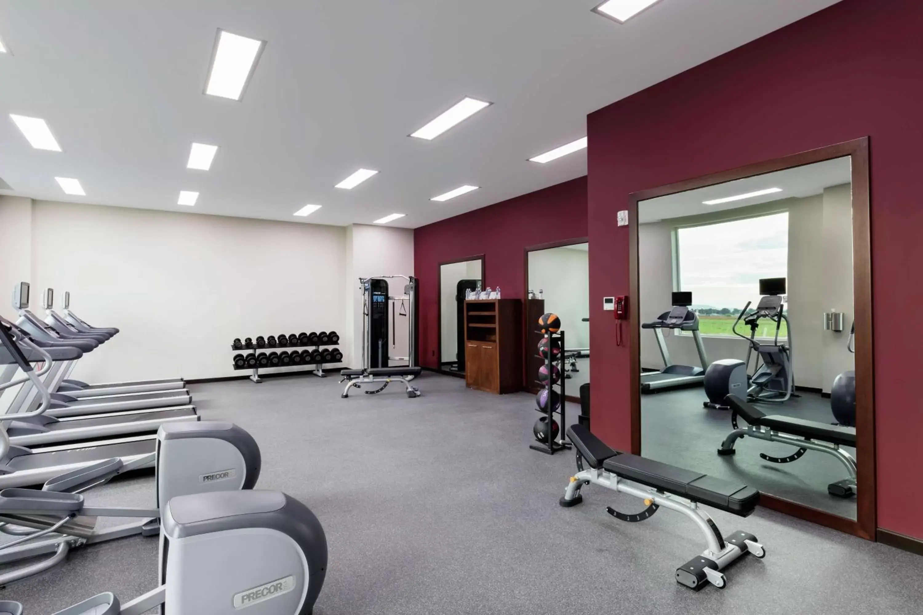 Fitness centre/facilities, Fitness Center/Facilities in Hilton Garden Inn Salamanca