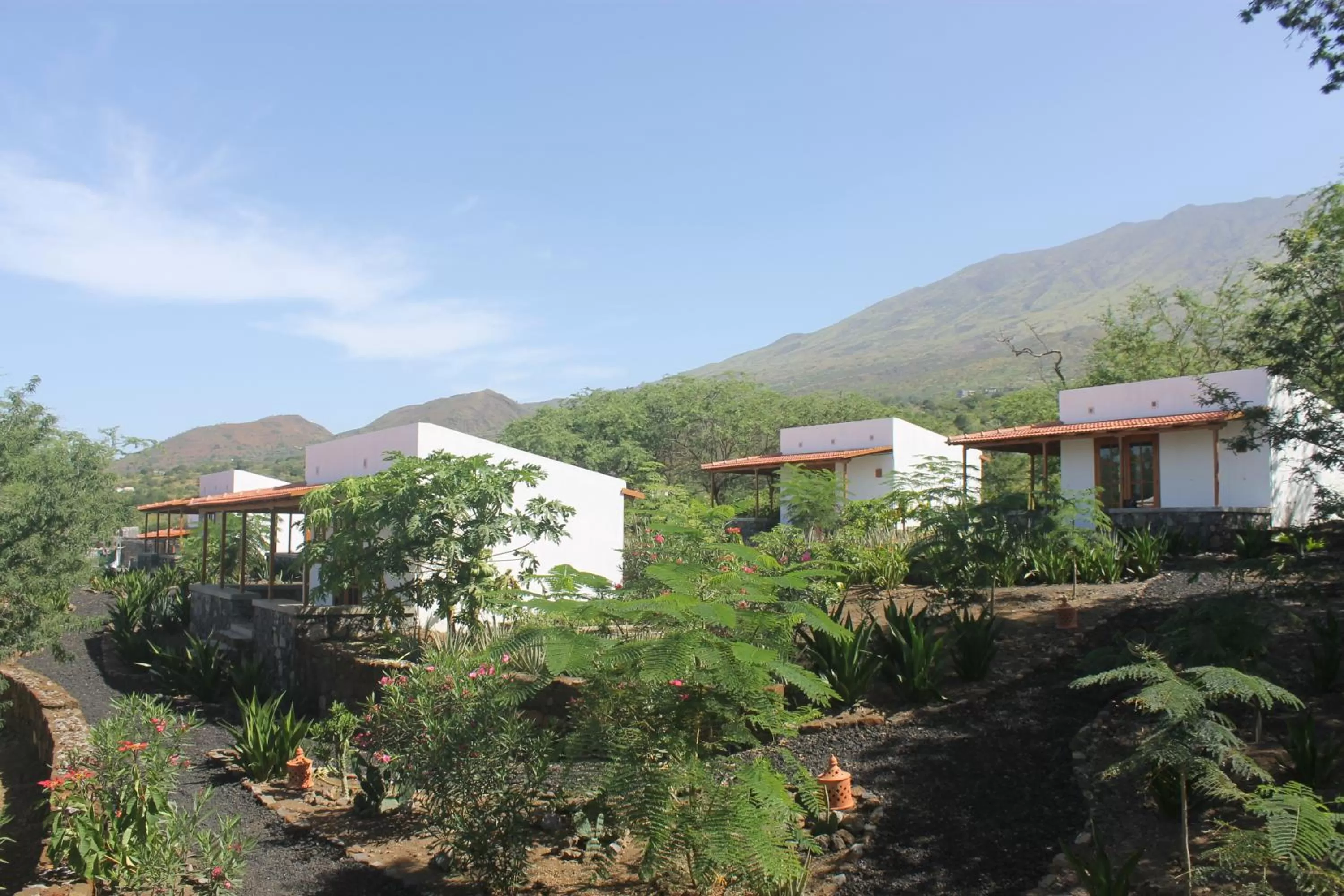 Garden in La Fora Ecolodge