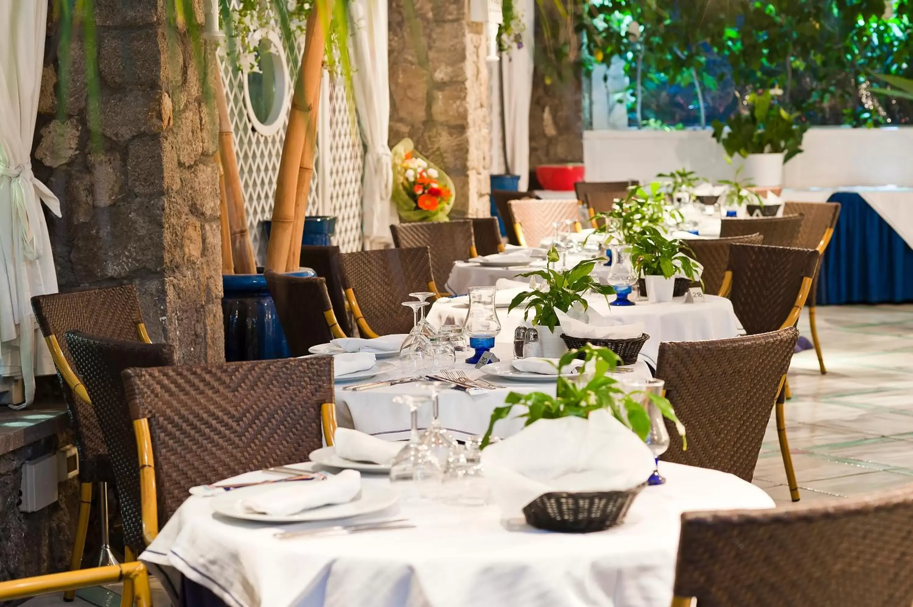 Restaurant/Places to Eat in Central Park Terme