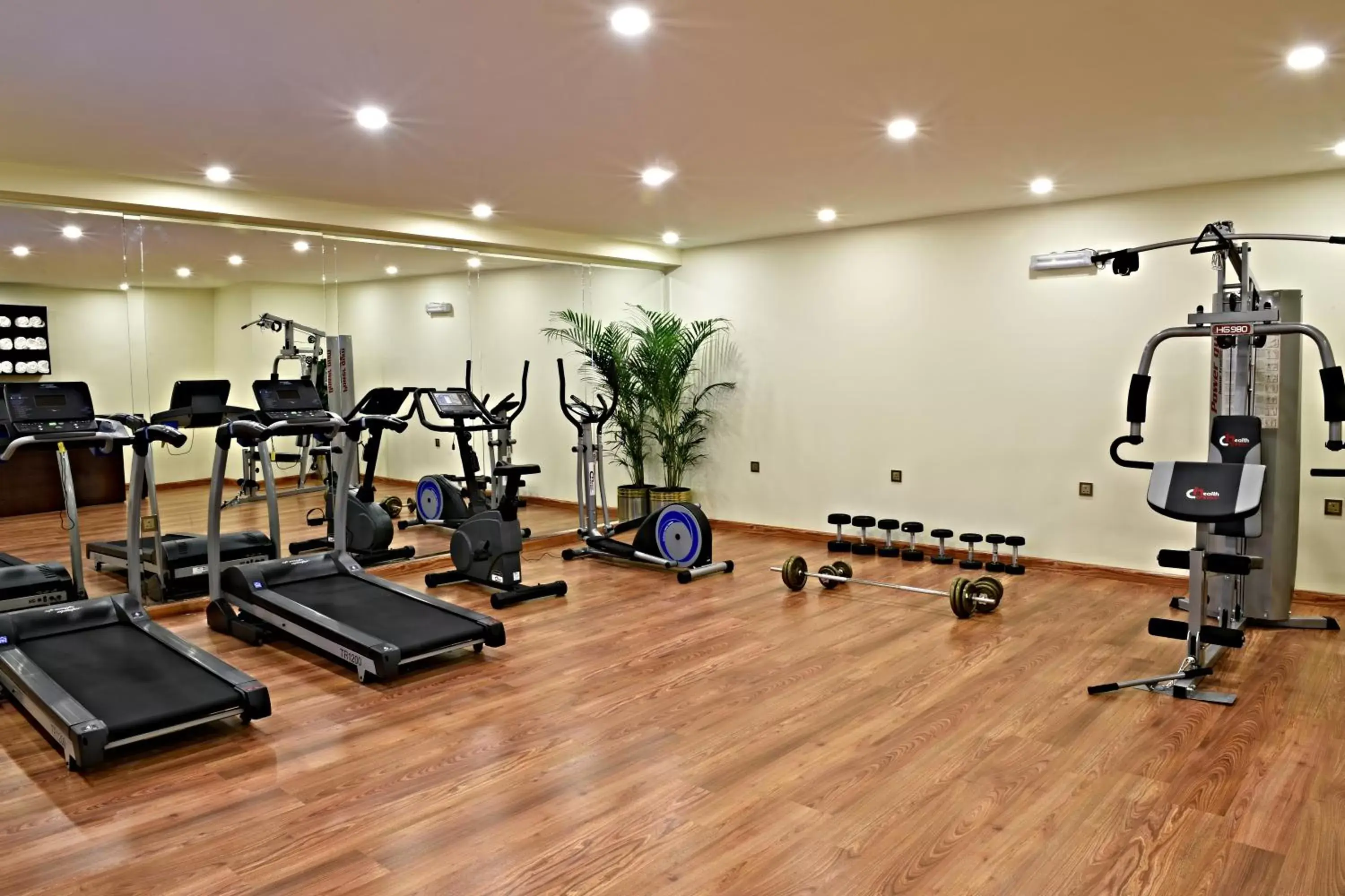 Fitness centre/facilities, Fitness Center/Facilities in Garden Plaza Hotel