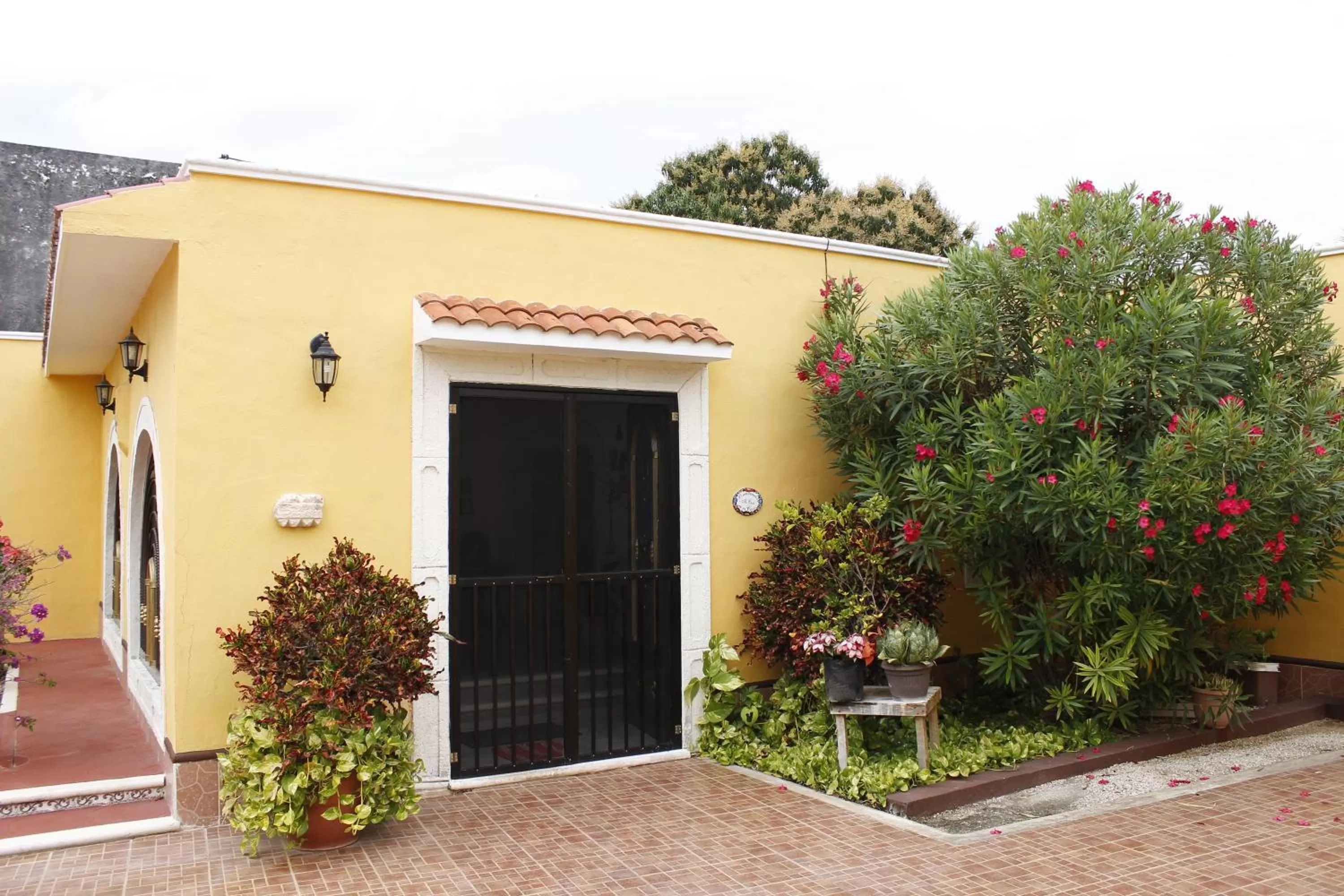 Lobby or reception in Posada Ya´ax Ich