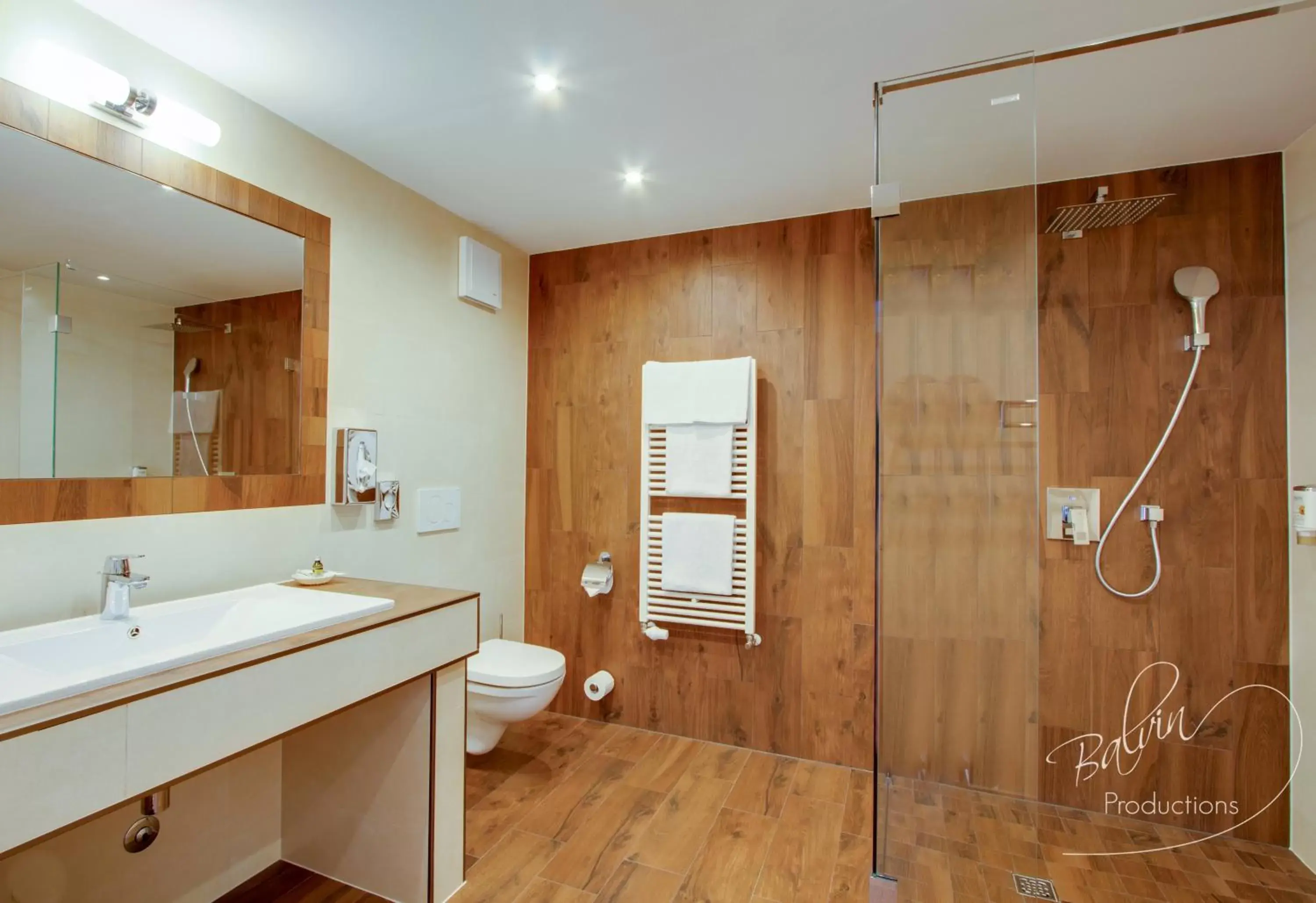 Decorative detail, Bathroom in Akzent Hotel Am Goldenen Strauss