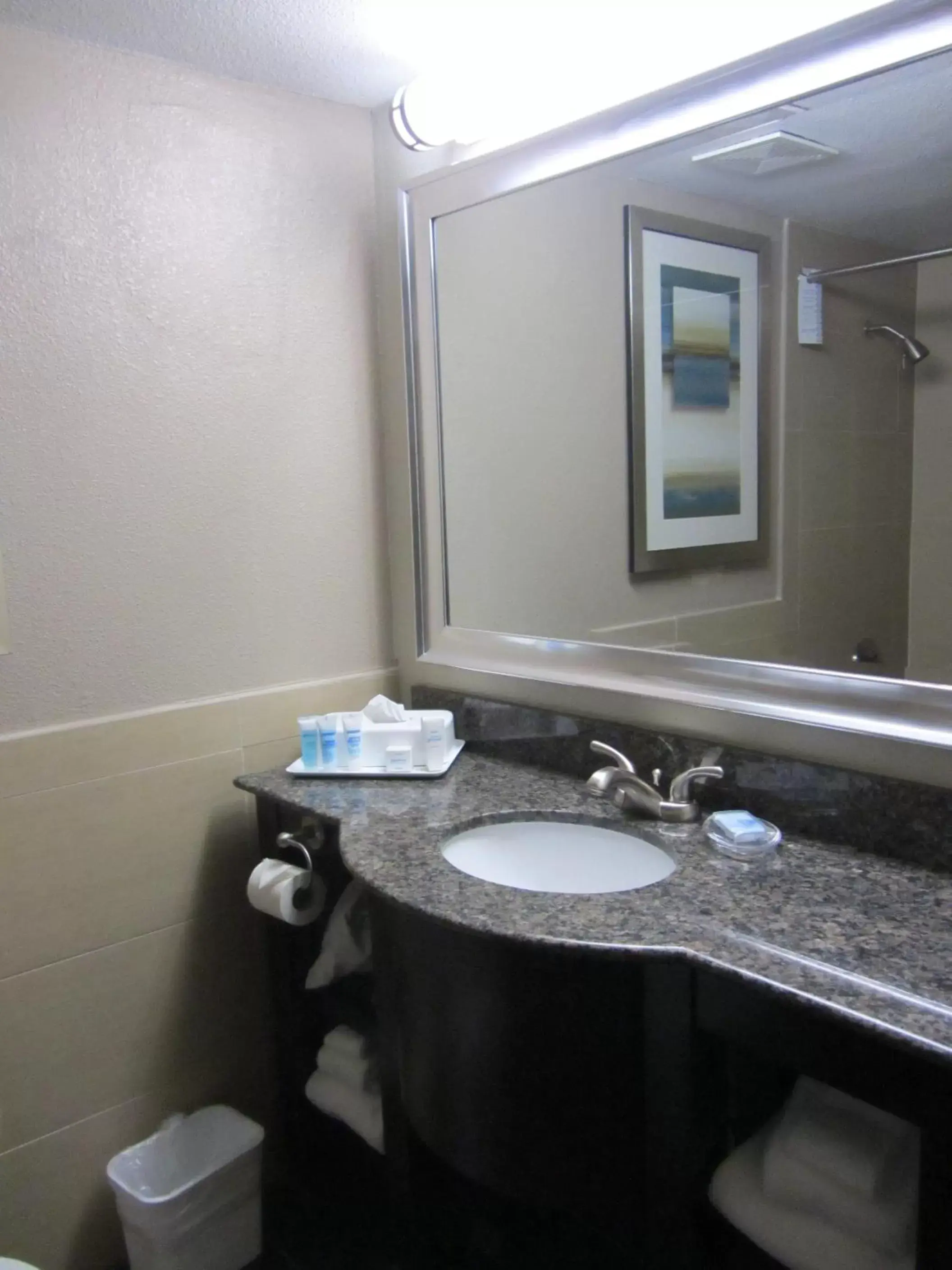 Bathroom in Wyndham Garden Midland