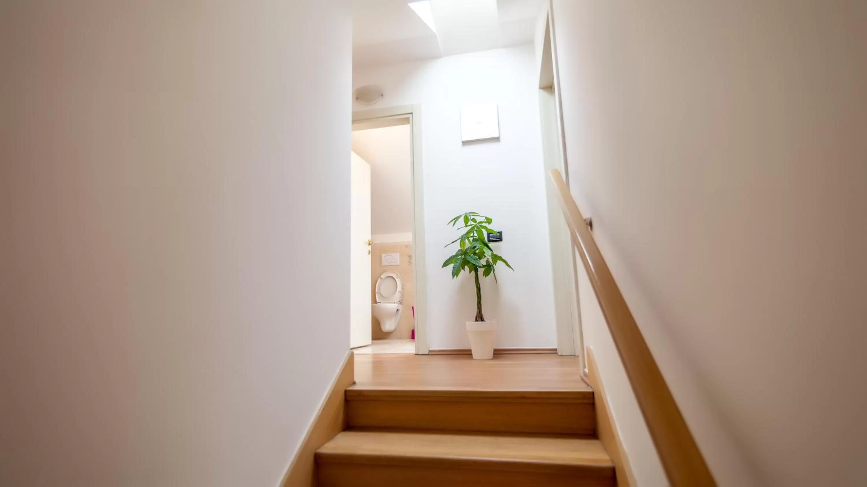 Decorative detail in Legerova 33 Apartments