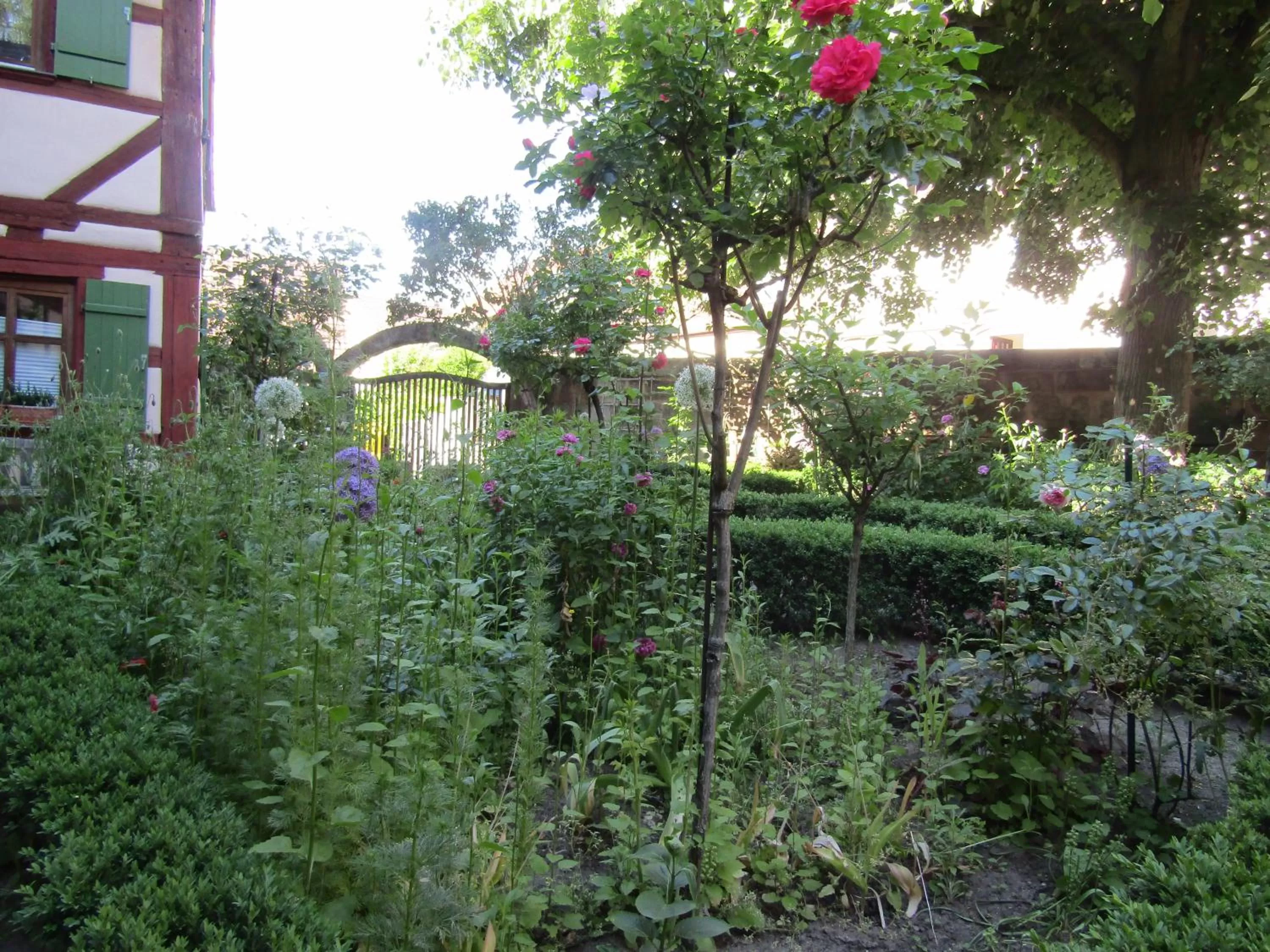 Garden in Hotel und Gasthof Ritter St. Georg