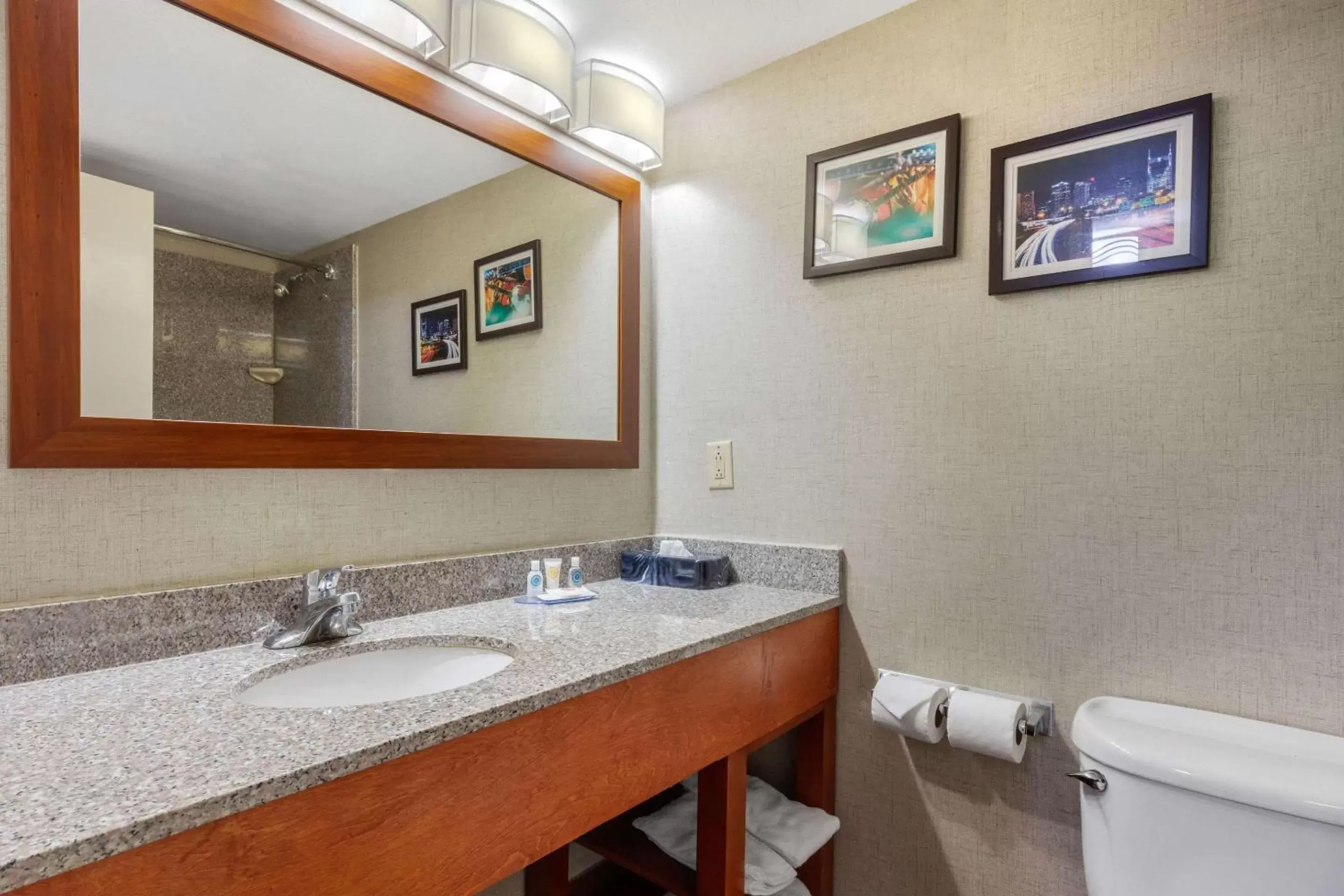 Photo of the whole room, Bathroom in Comfort Inn & Suites Nashville-Antioch