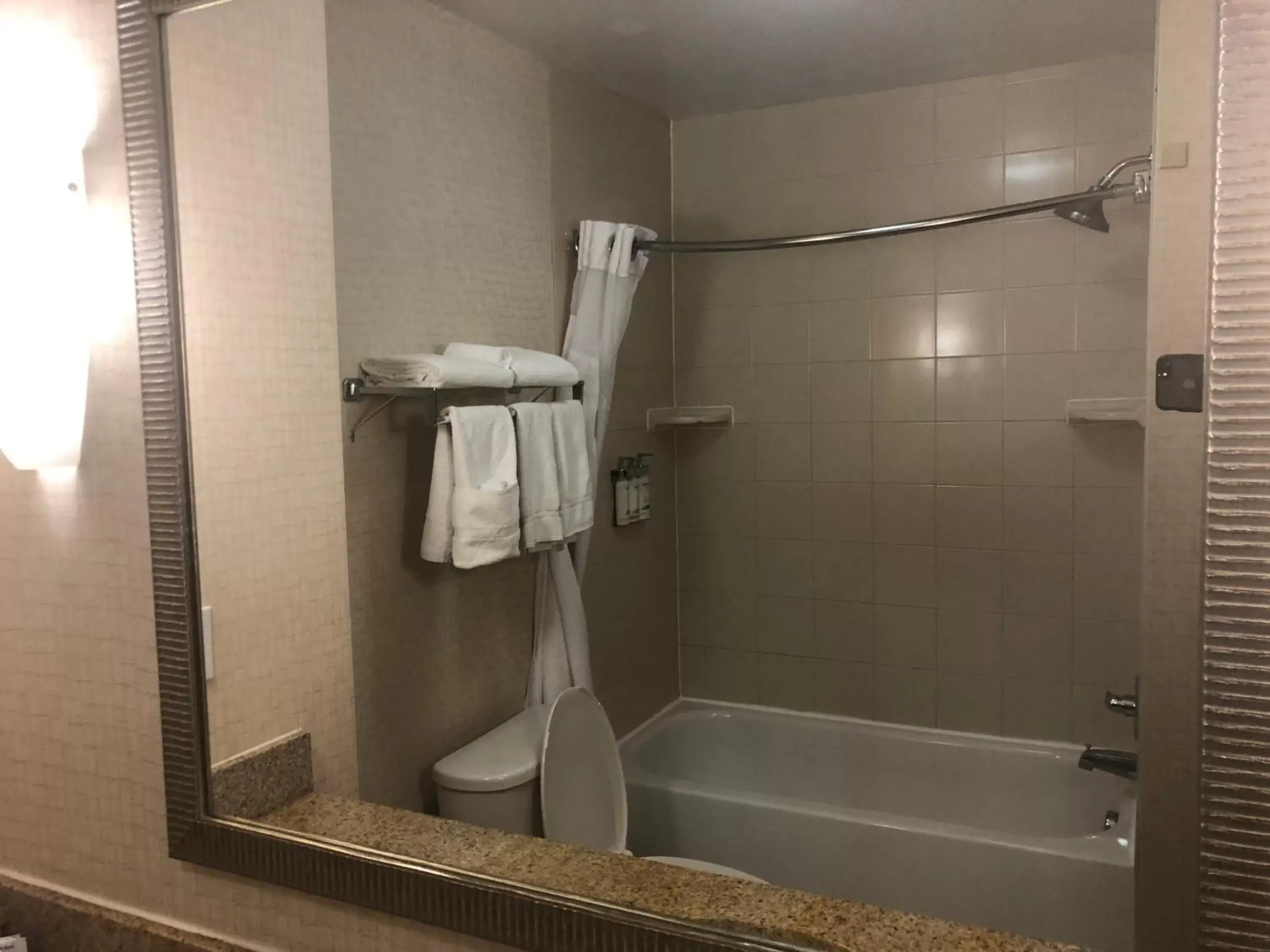 Shower, Bathroom in Holiday Inn Express Hotel & Suites Lansing-Dimondale, an IHG Hotel