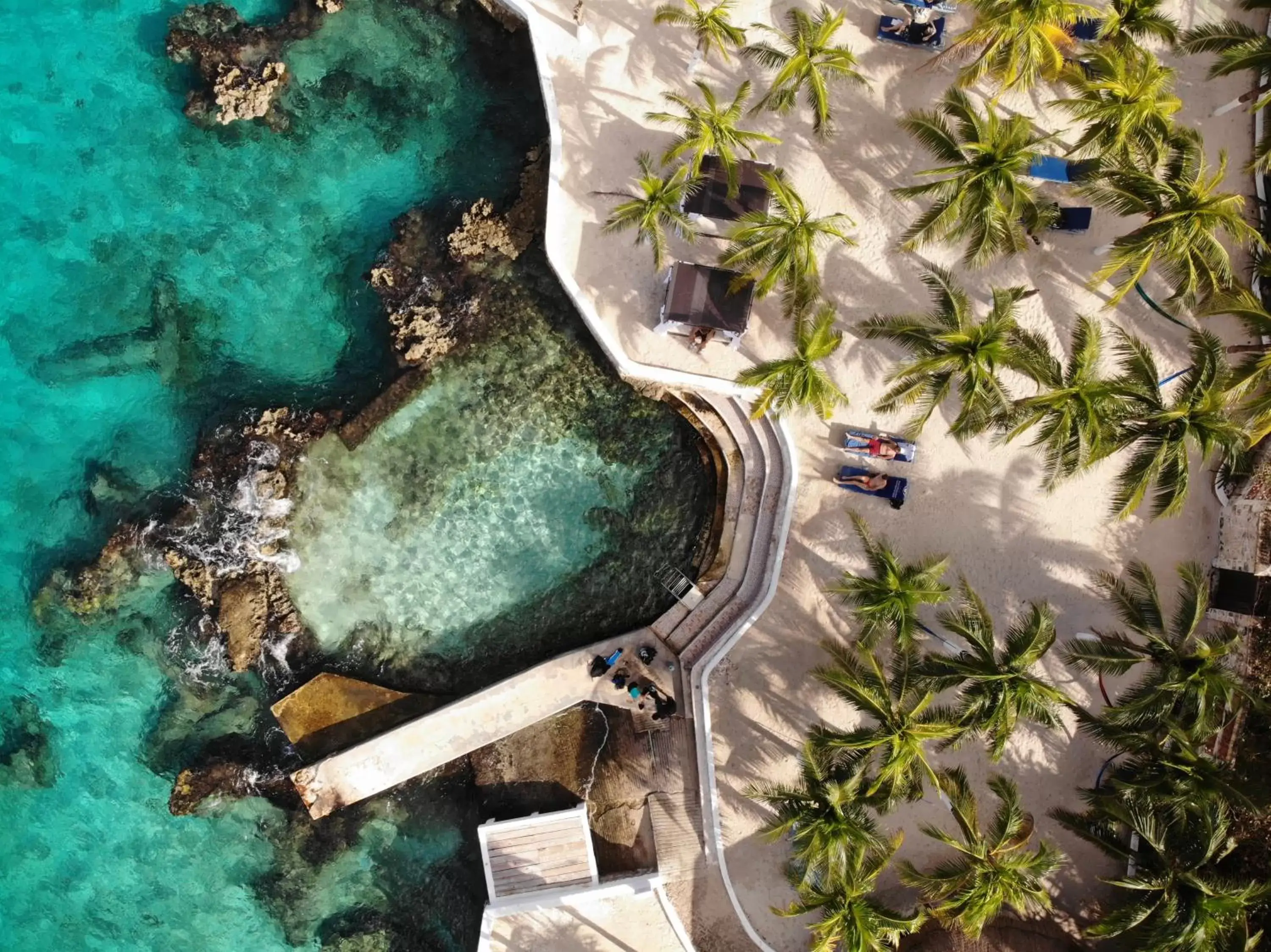 Beach, Bird's-eye View in Cozumel Hotel & Resort Trademark Collection by Wyndham