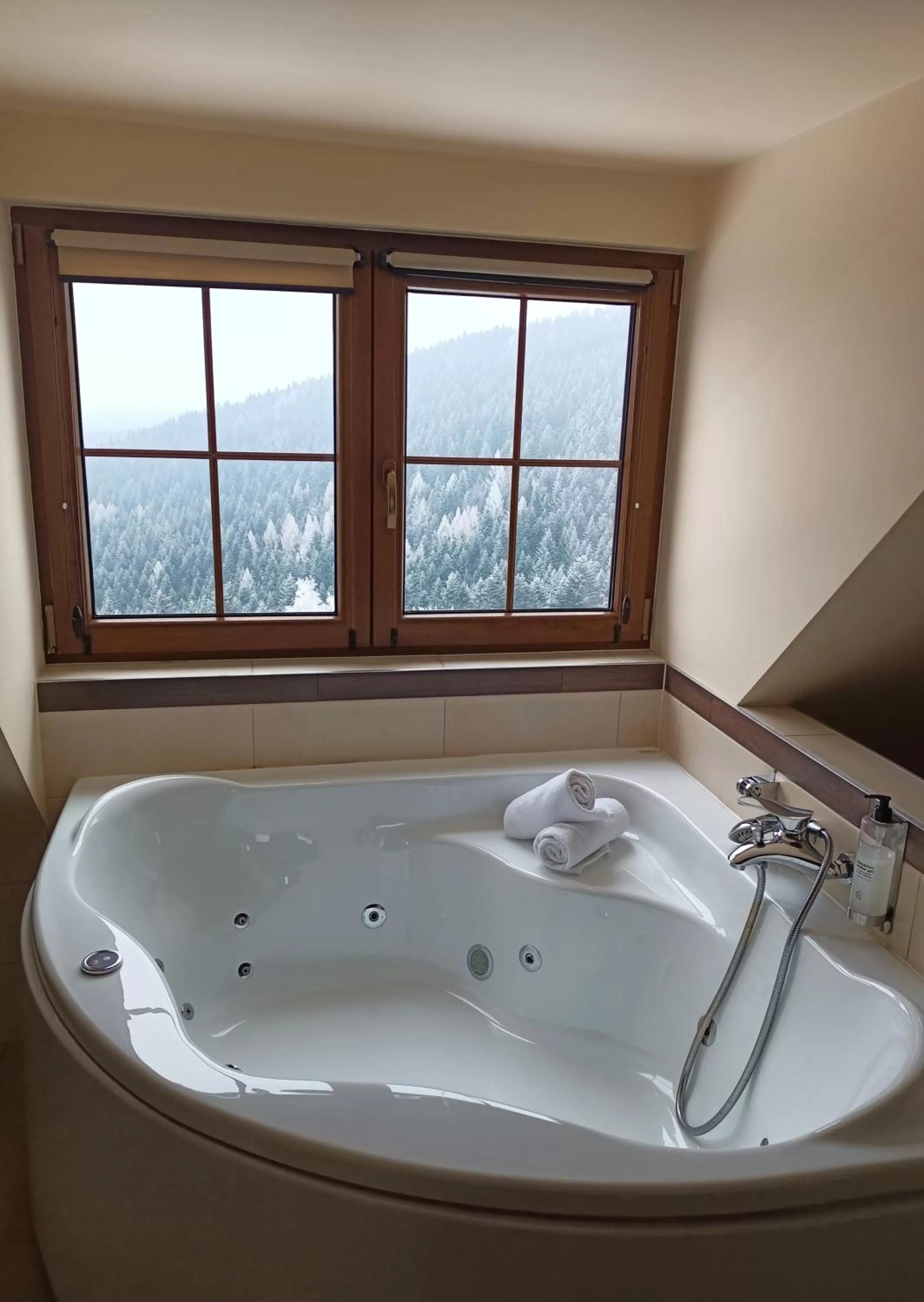 View (from property/room) in Hotel Beskidzki Raj Medical SPA