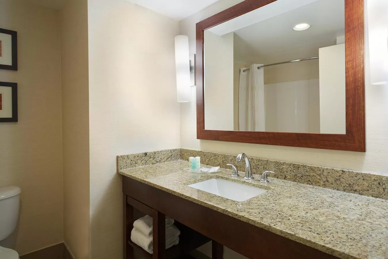 Double Suite in Comfort Suites Innsbrook - Short Pump