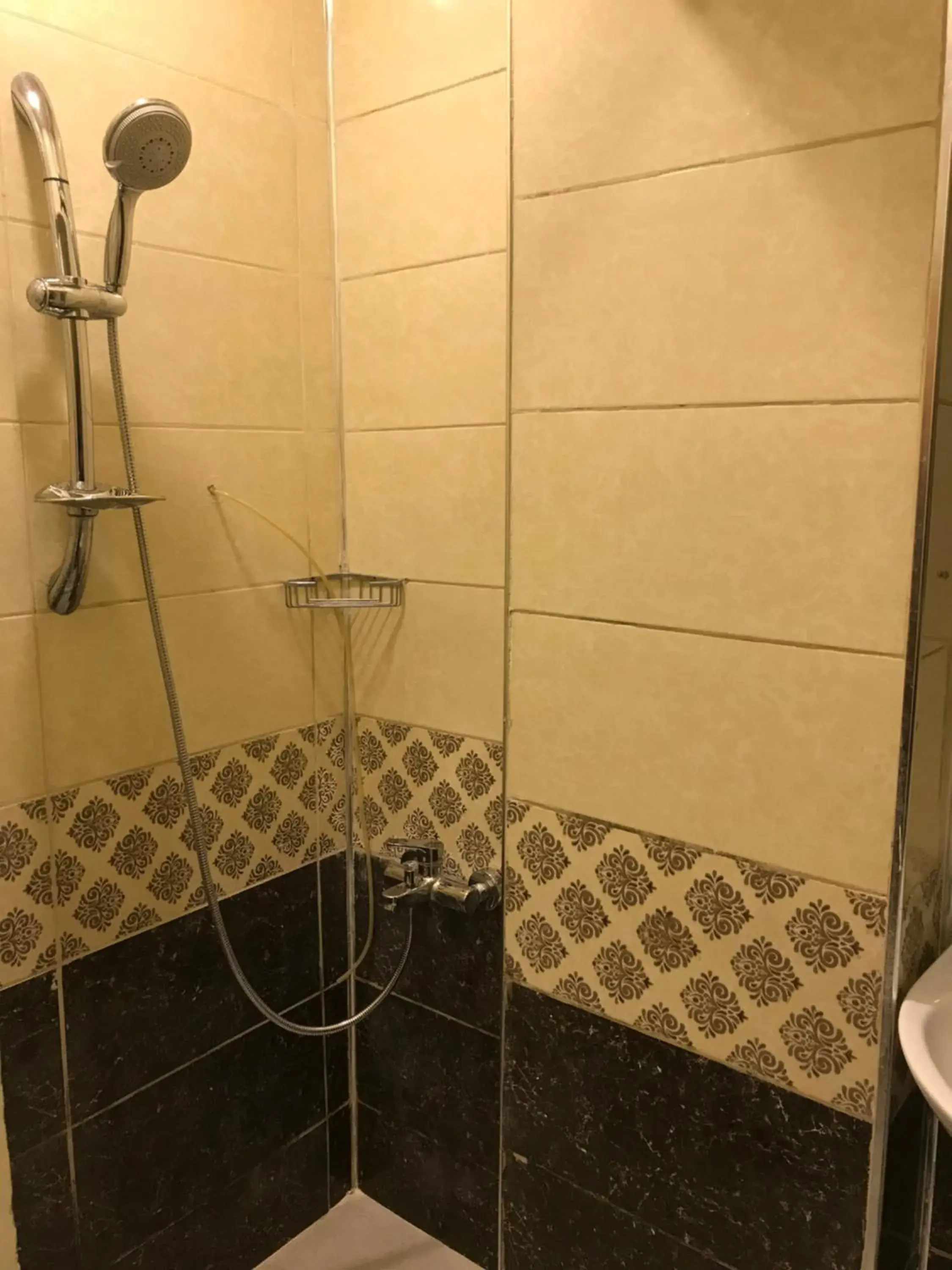 Shower, Bathroom in historial hotel