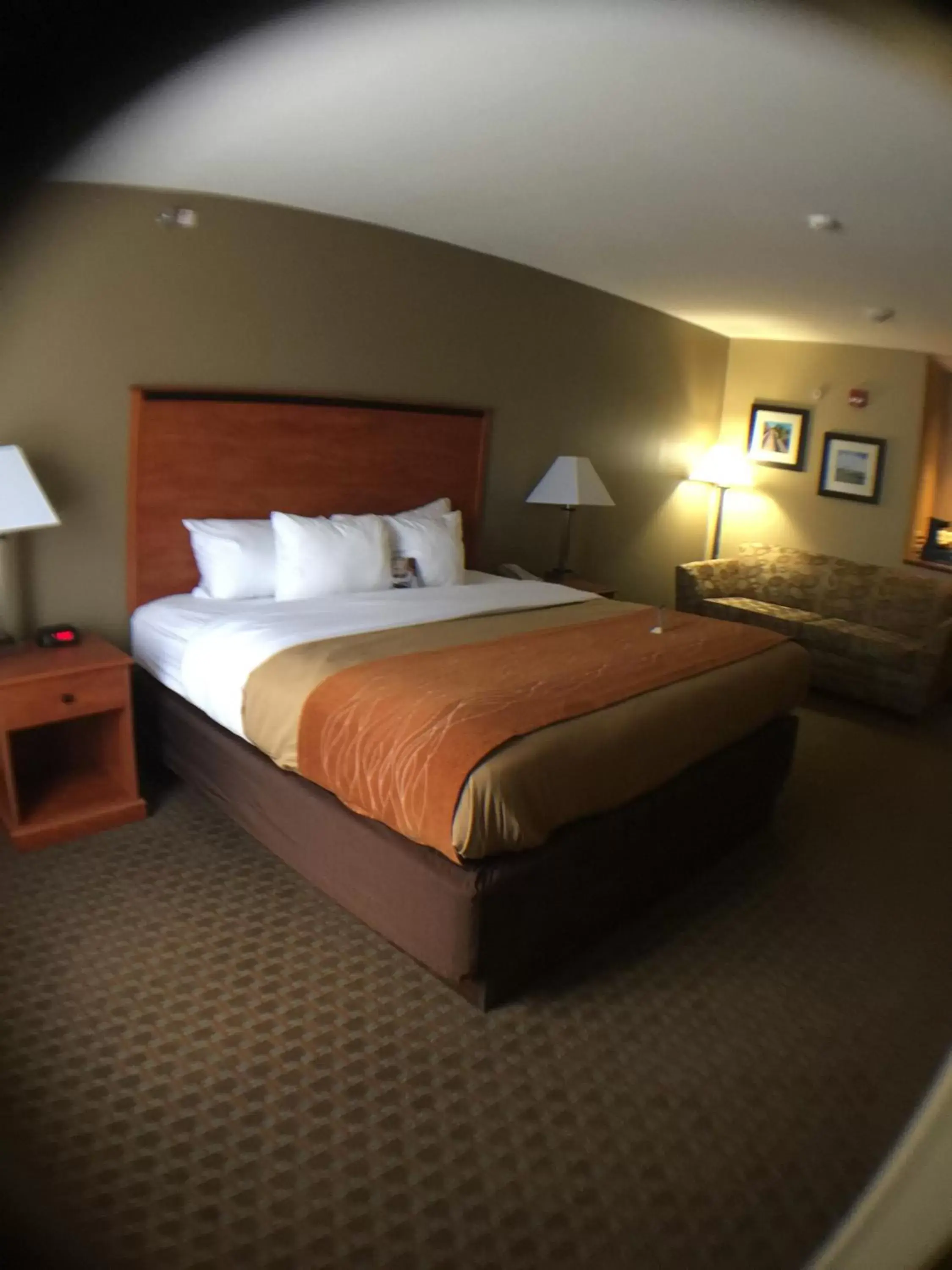 Bed in Comfort Inn & Suites Marion I-57