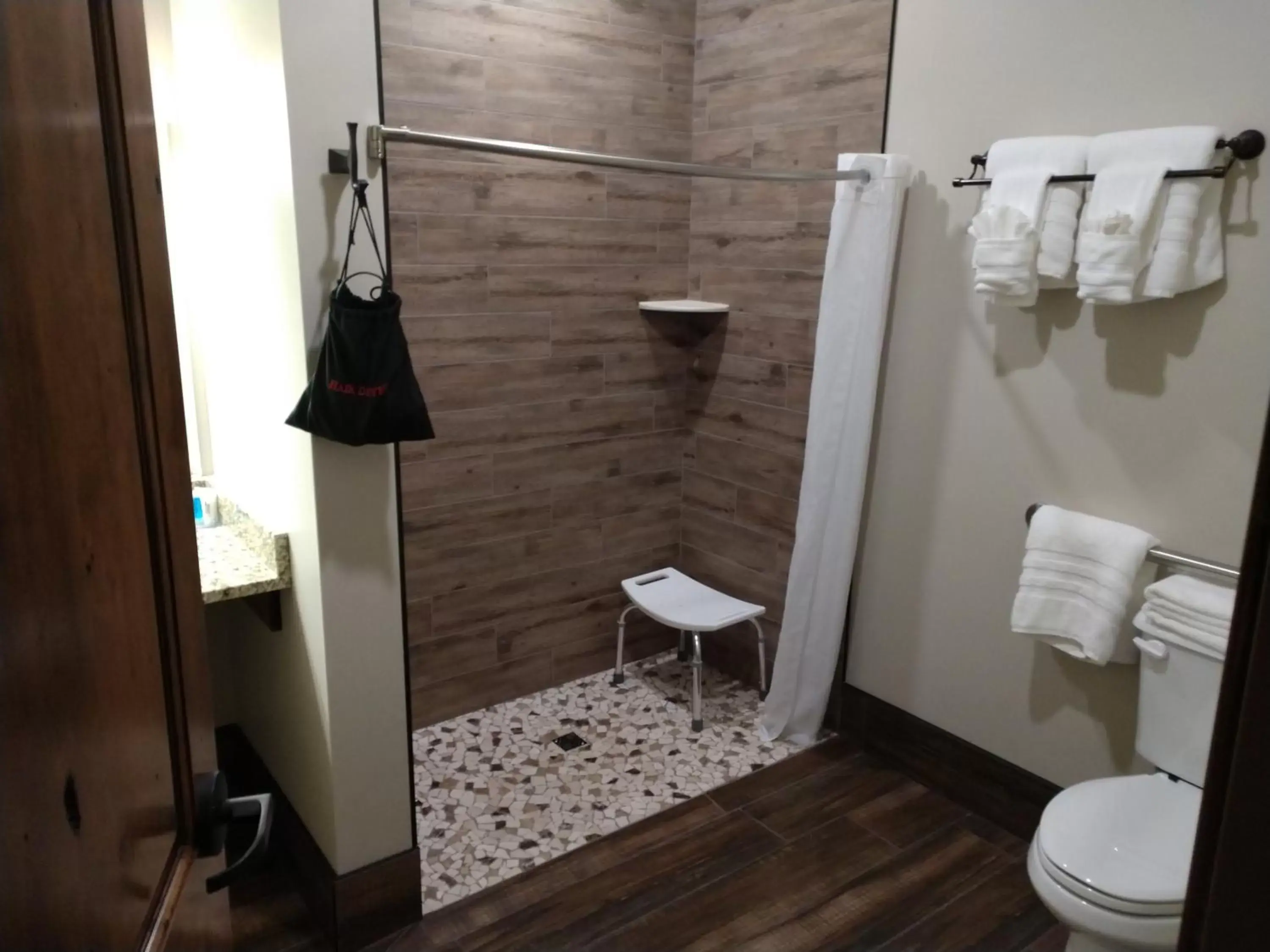 Shower, Bathroom in Sawtelle Mountain Resort