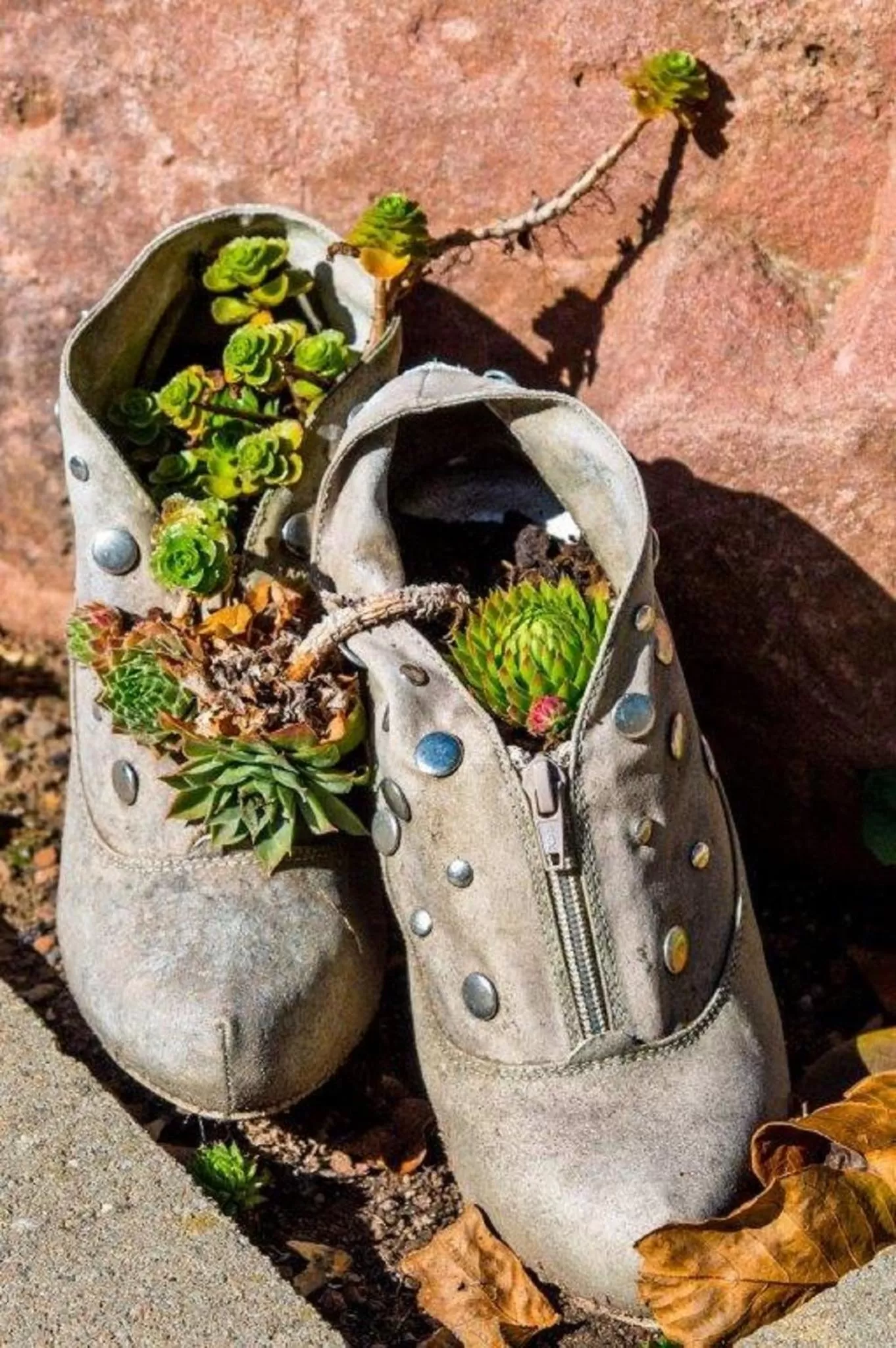 Other in Villa Croatia & Restaurant Adria