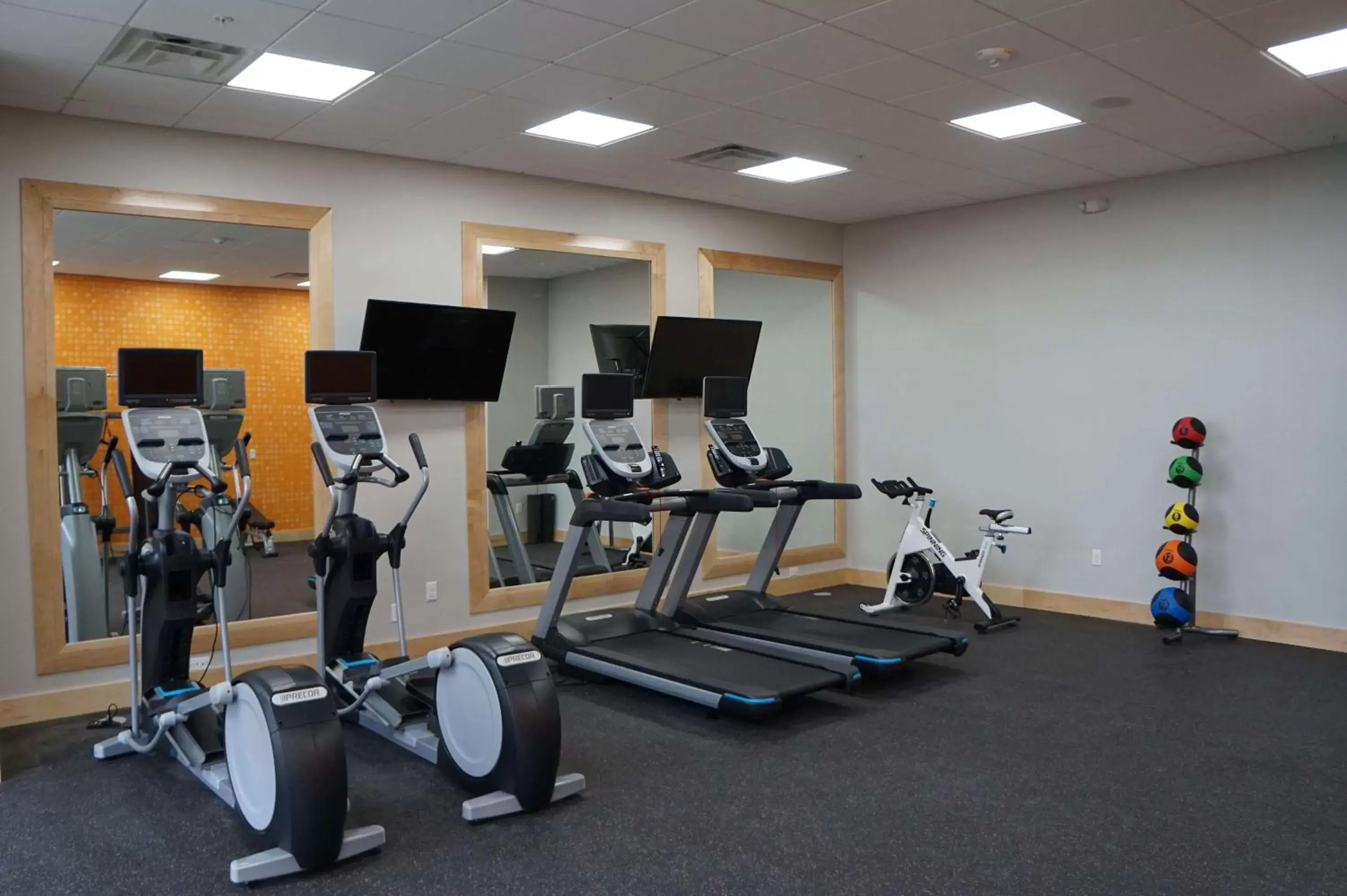 Fitness centre/facilities, Fitness Center/Facilities in La Quinta Inn & Suites by Wyndham Lewisville