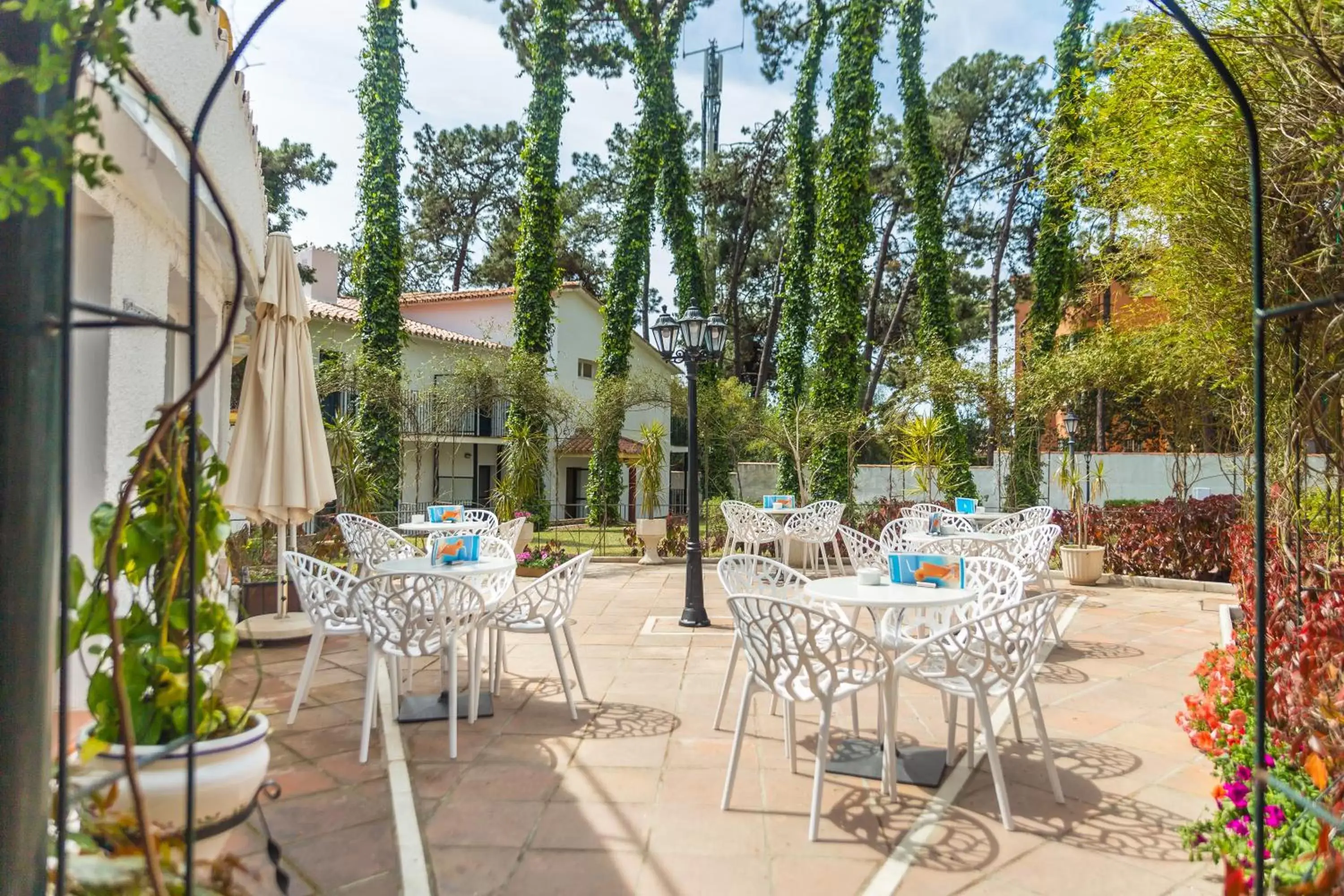 Garden, Restaurant/Places to Eat in AluaSun Marbella Park