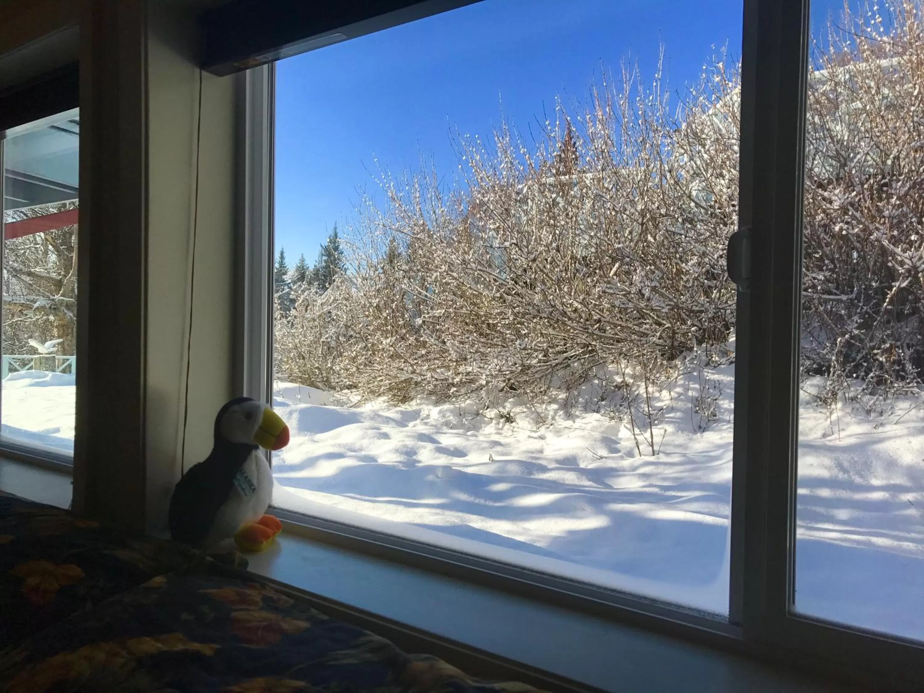 Garden view in Halcyon Heights B&B/Inn