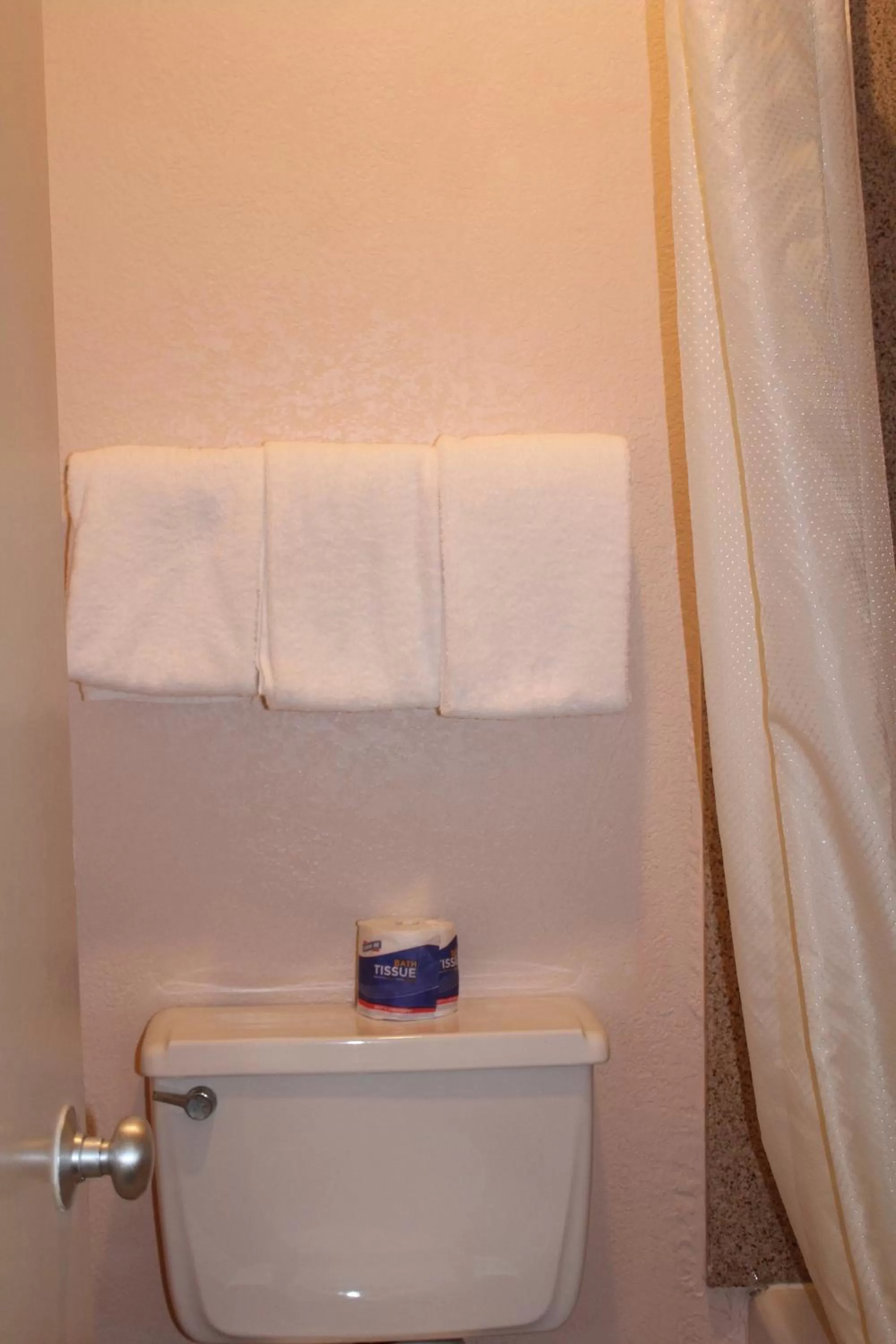 Bathroom in Americas Best Value Inn-Near NRG Park/Medical Center
