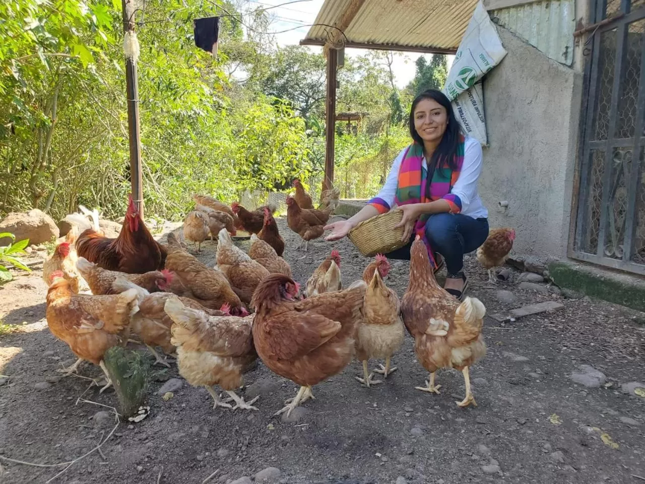 Entertainment in Hotel de Campo Villa de Ada