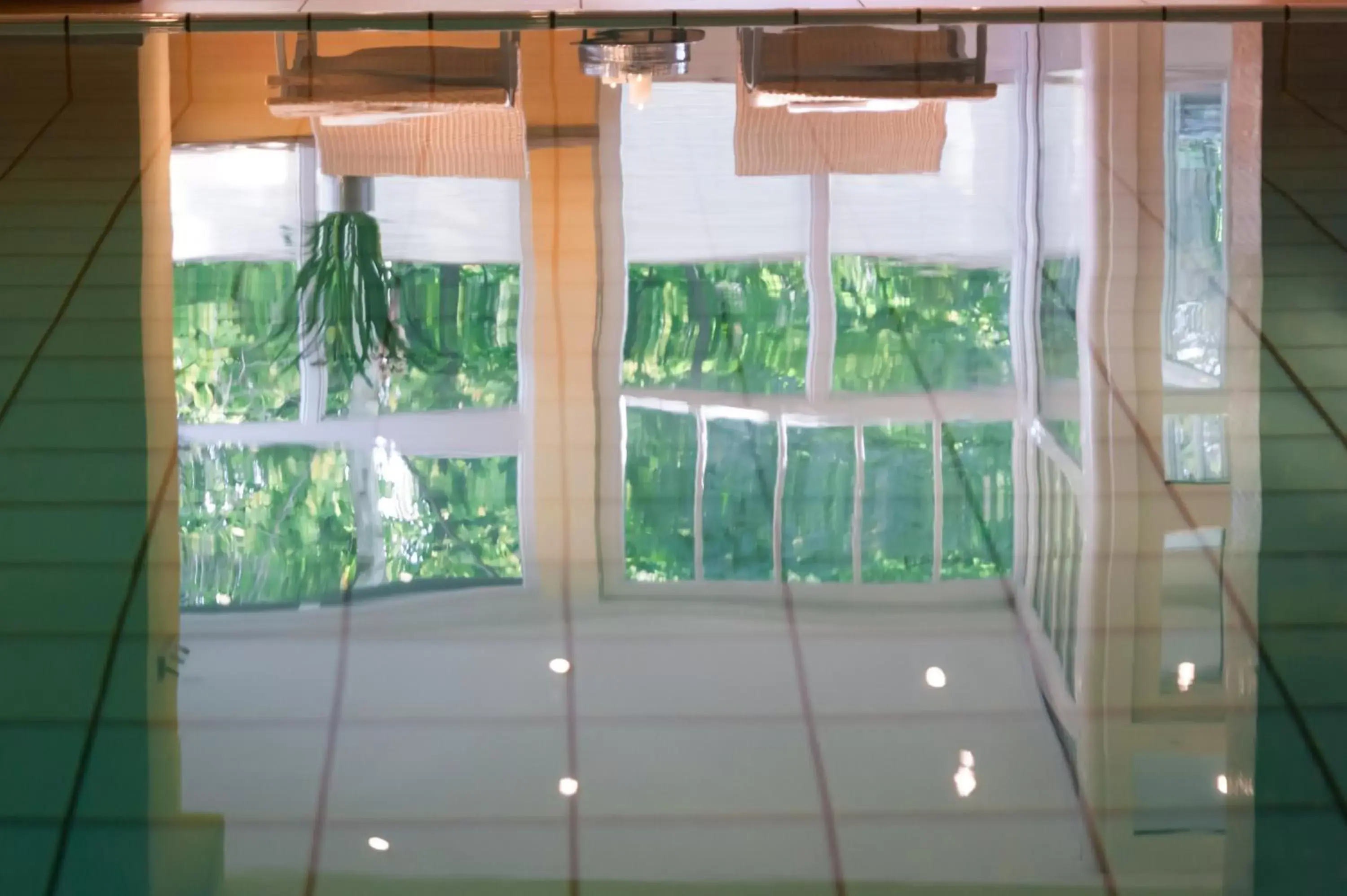 Swimming pool, Pool View in Boutiquehotel Schloßpalais