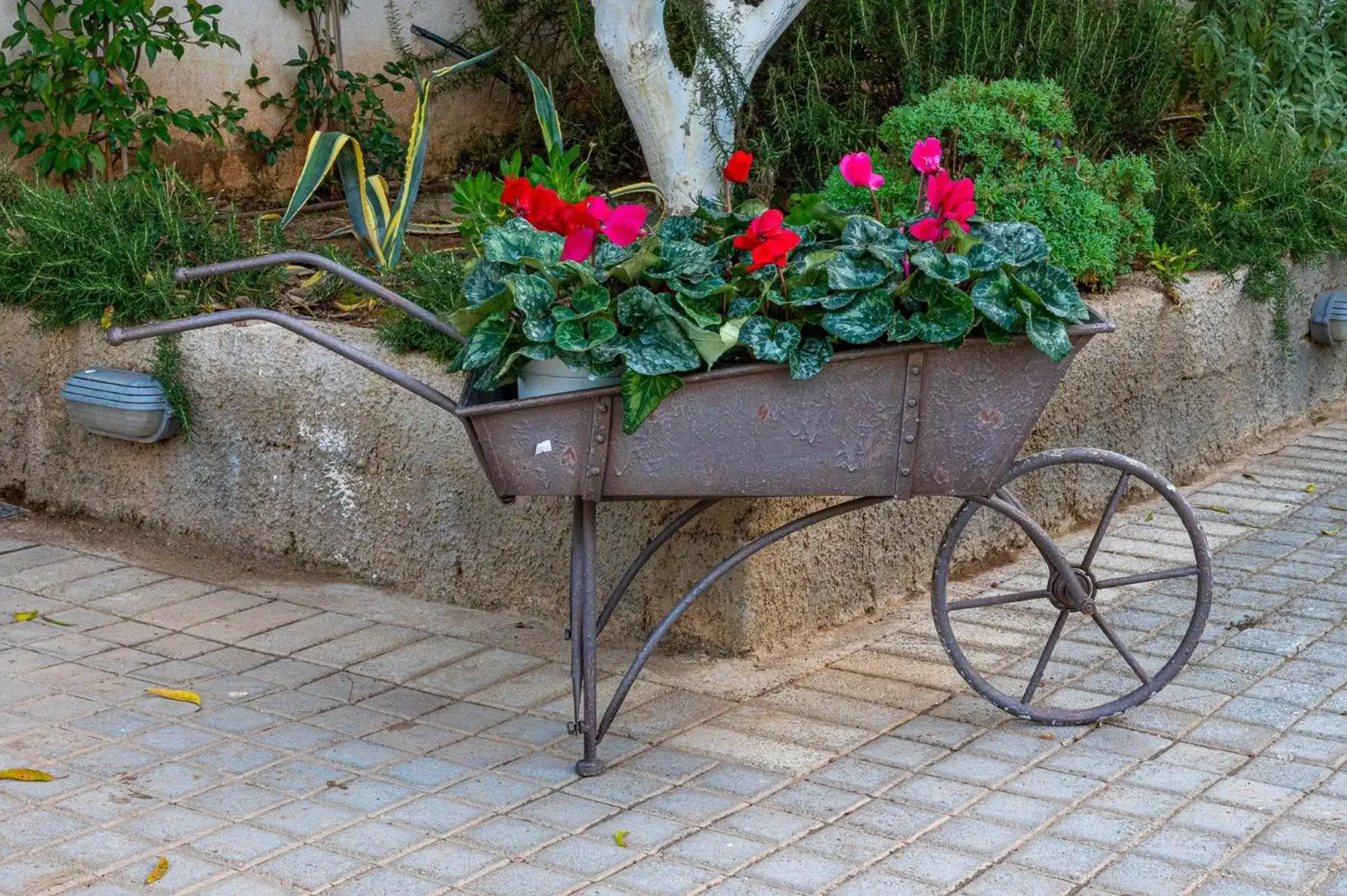 Garden in Comfort Stay Airport Studios - FREE shuttle from the Athens airport