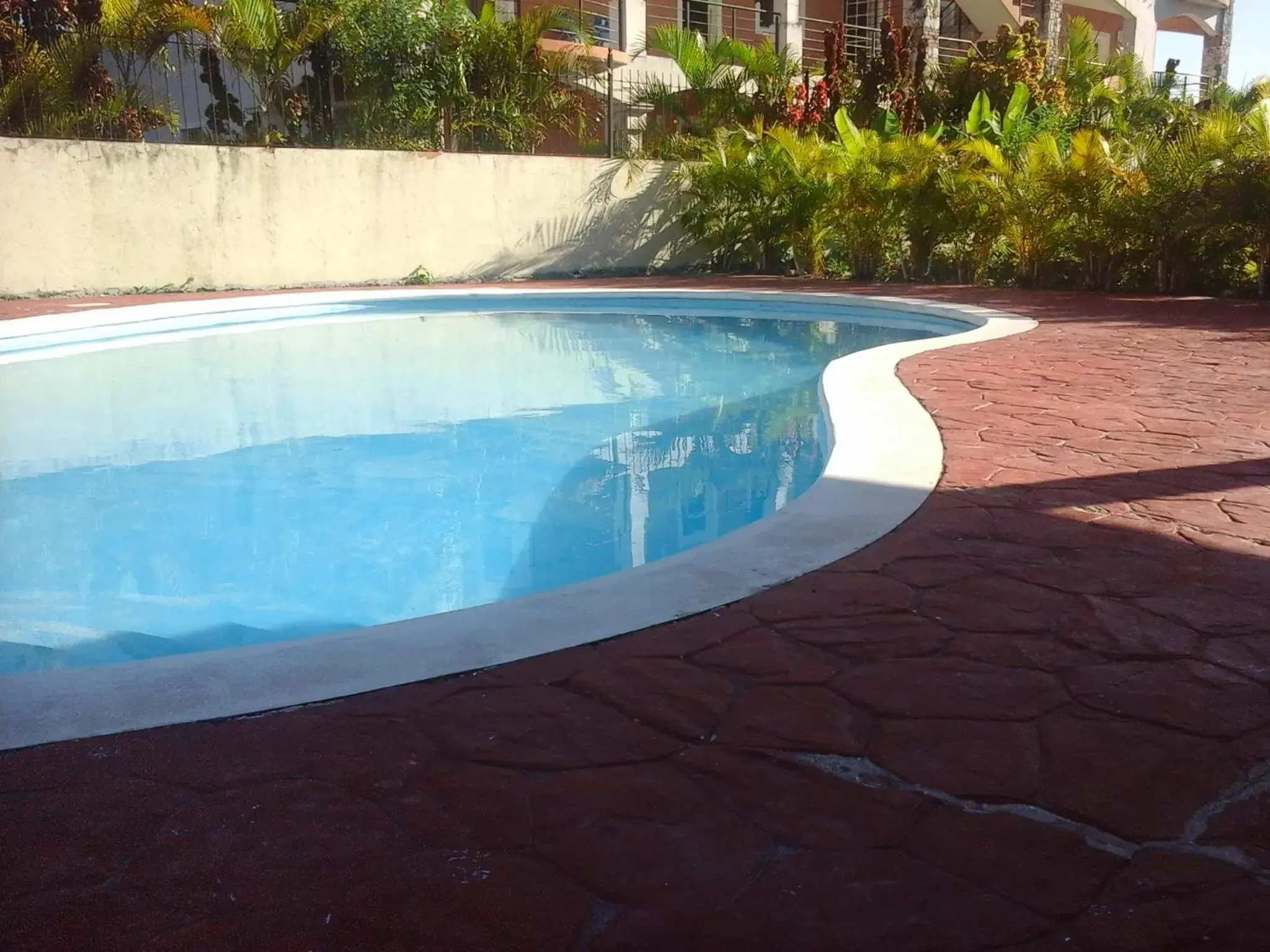 Swimming Pool in Nely y Pietro share apartment