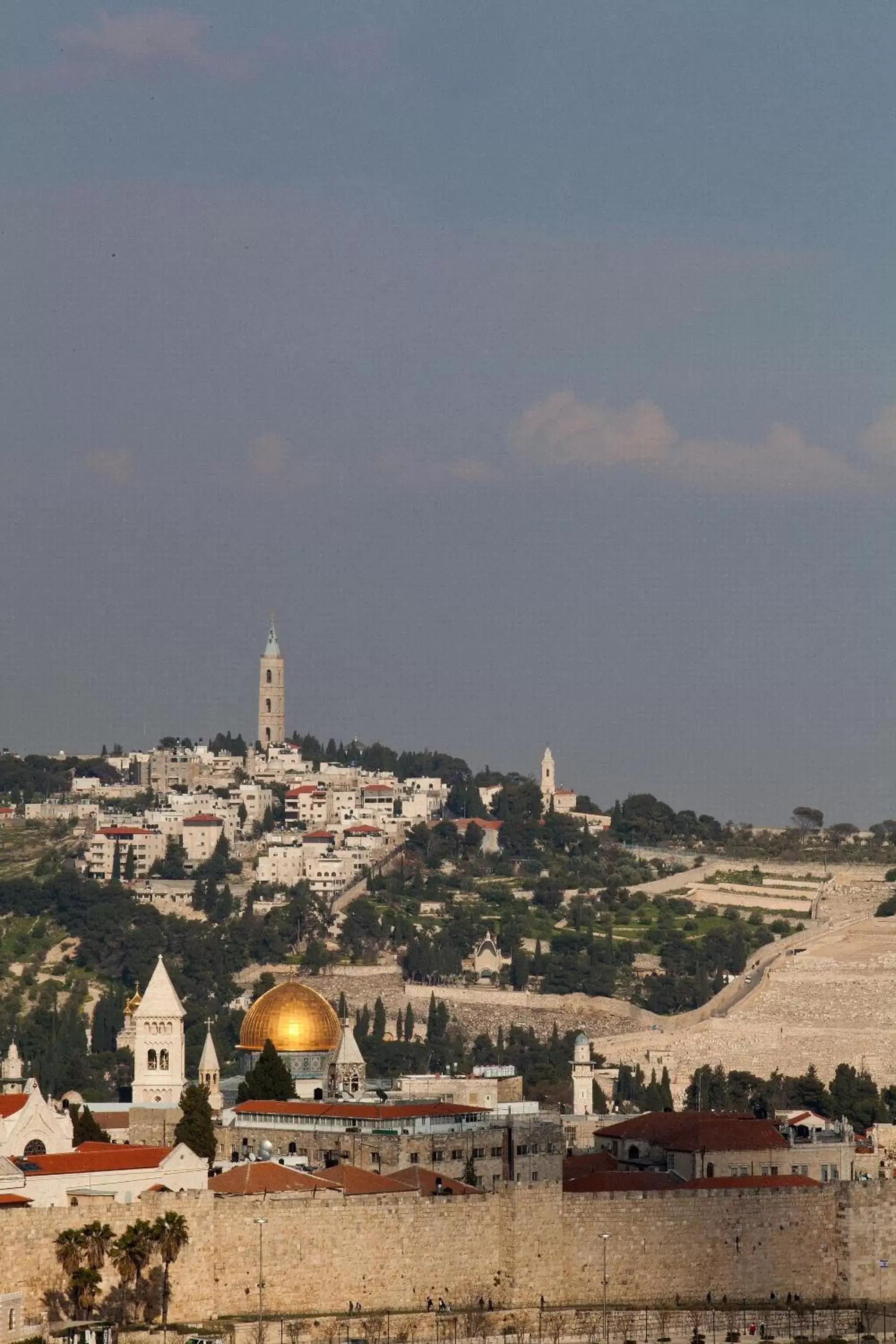 Area and facilities in Leonardo Plaza Hotel Jerusalem