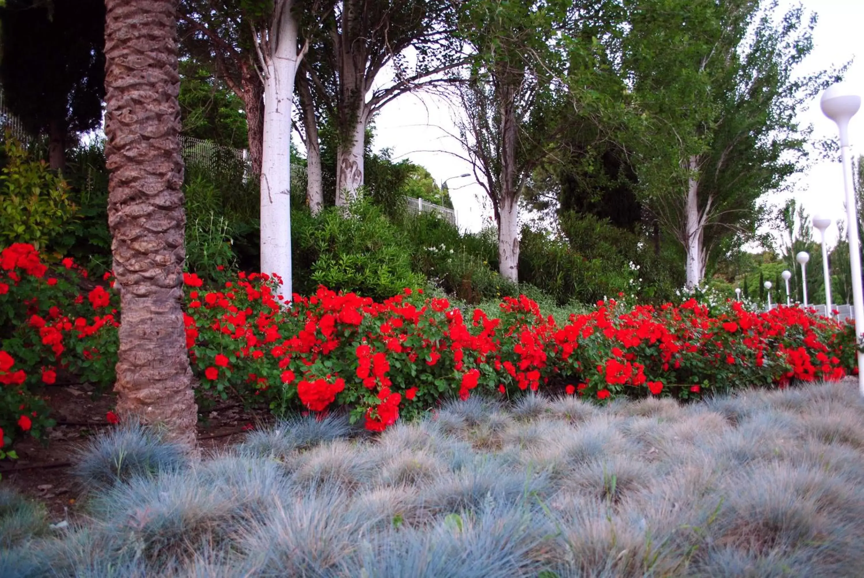 Garden in Parador de Antequera