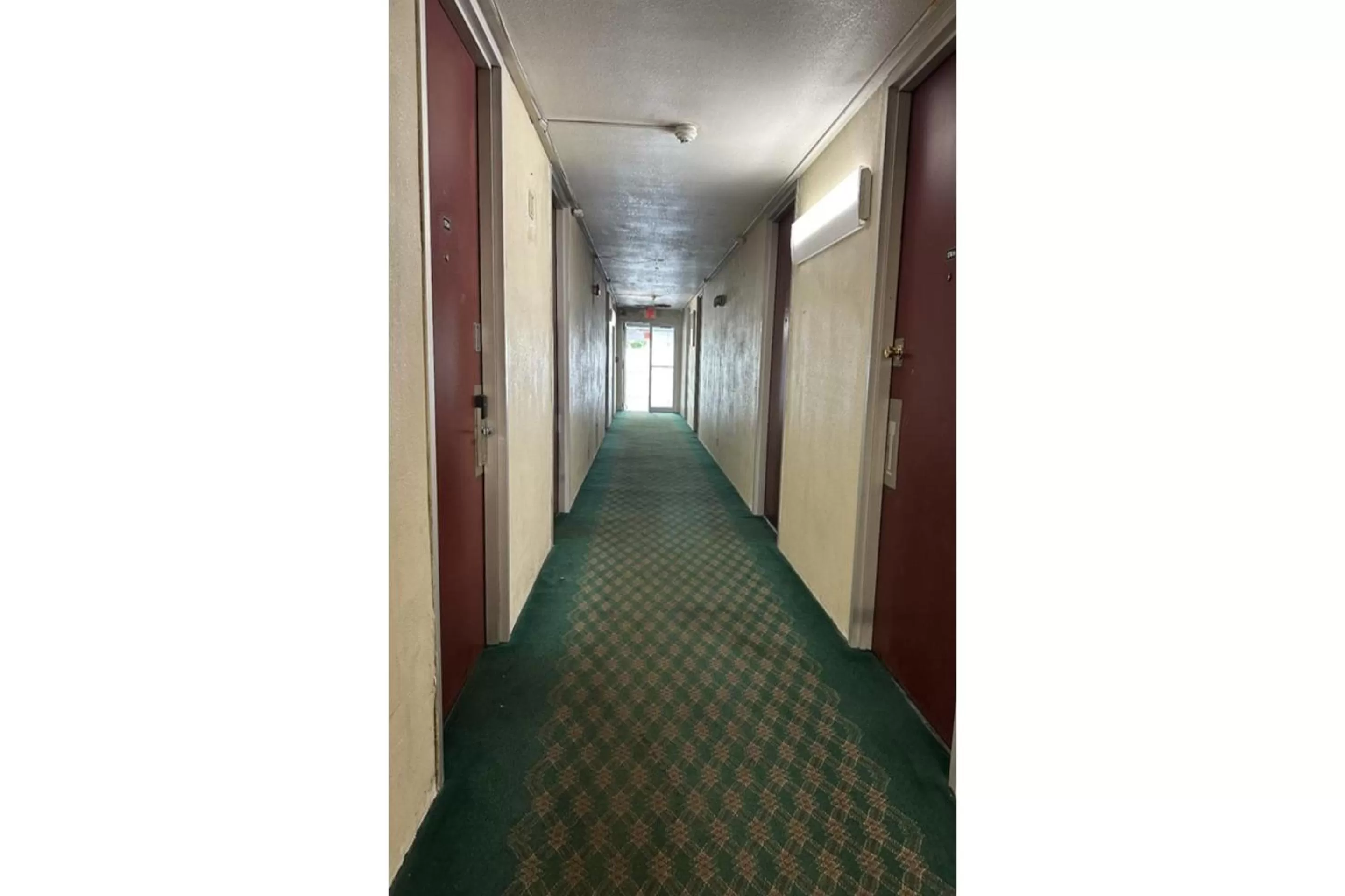 Lobby or reception in Kampus Inn Gainesville - University Area Hotel