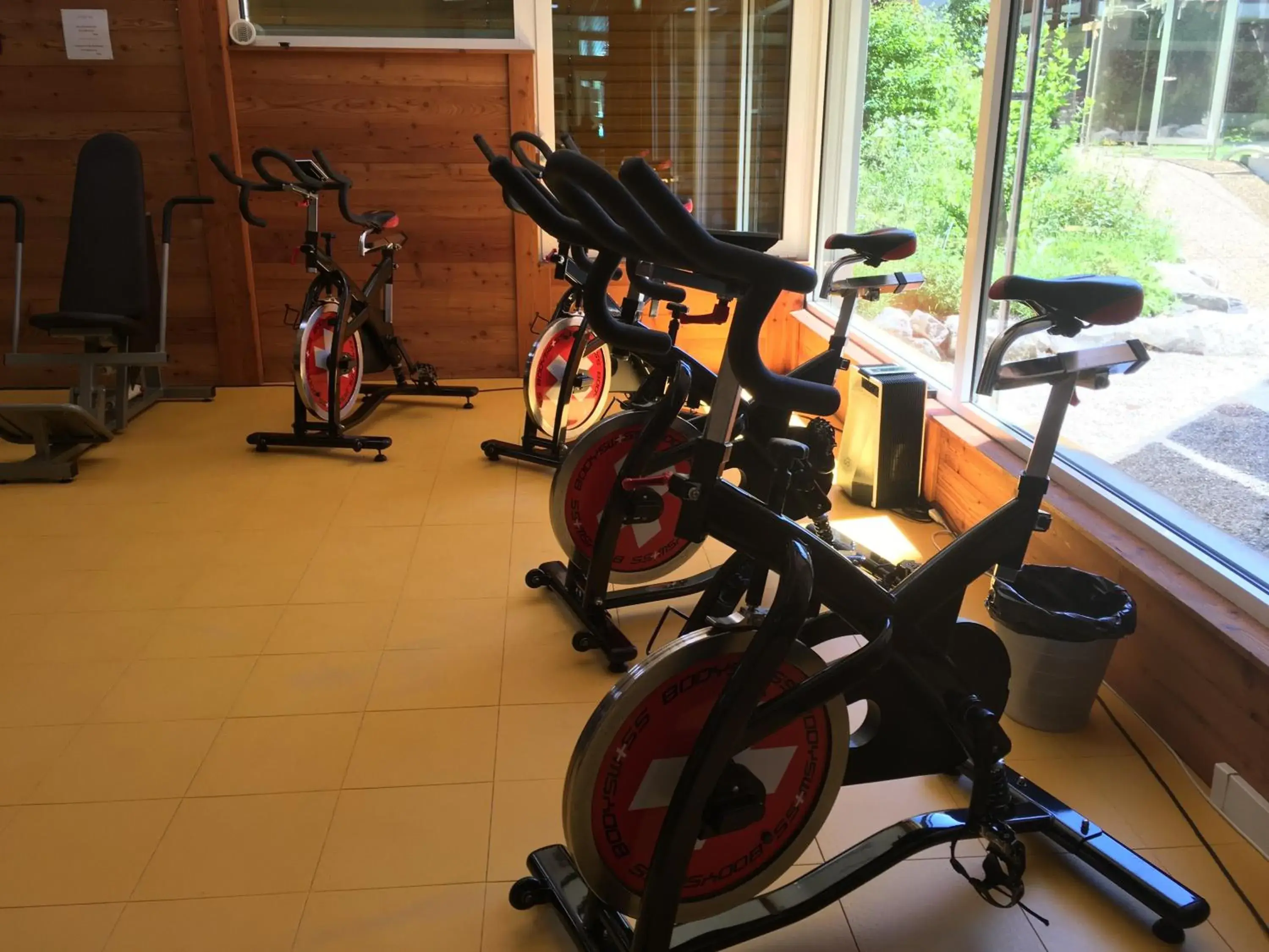 Fitness centre/facilities, Fitness Center/Facilities in Hôtel des Bains d'Ovronnaz