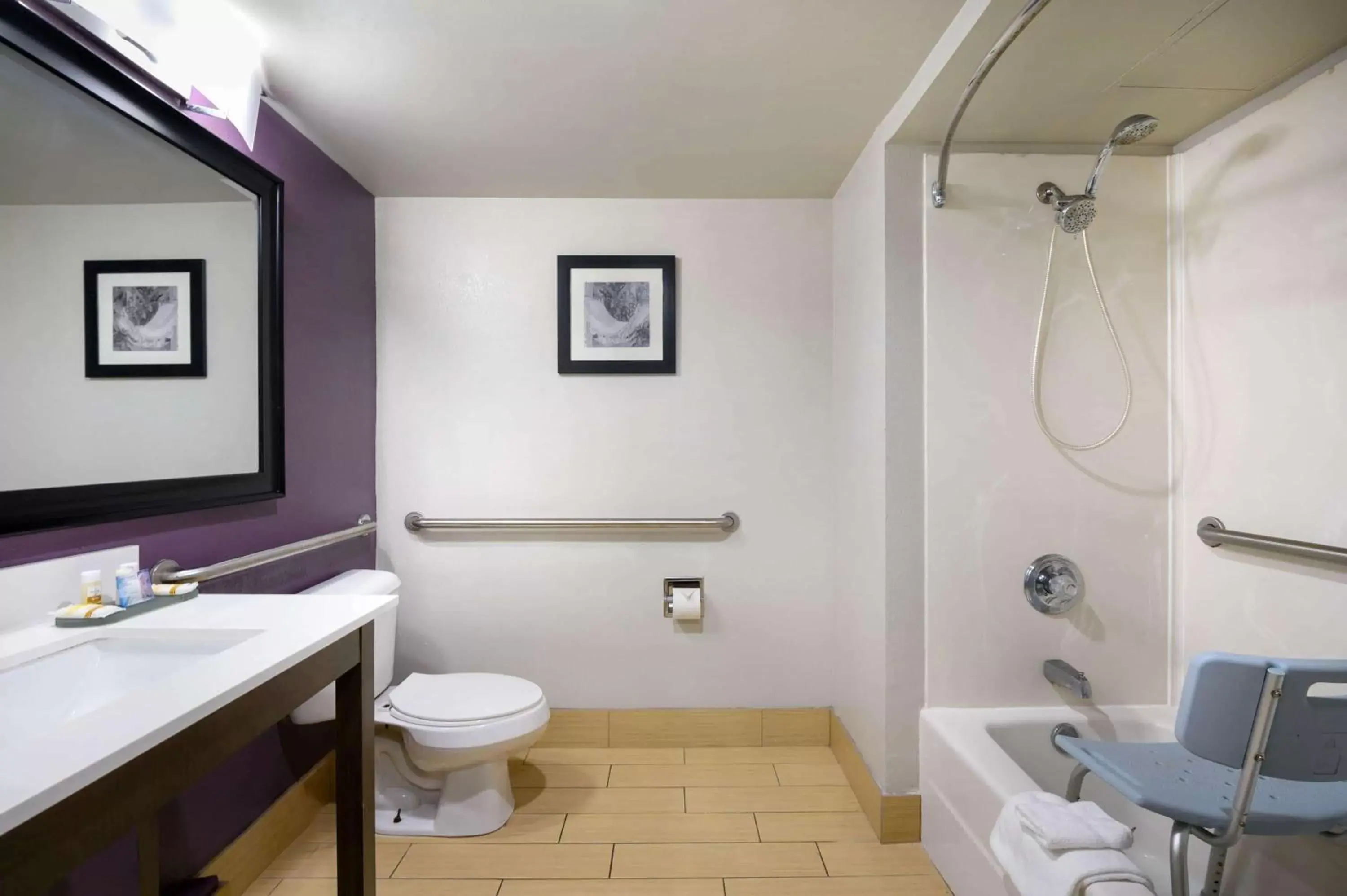 Bathroom in La Quinta Inn by Wyndham North Myrtle Beach