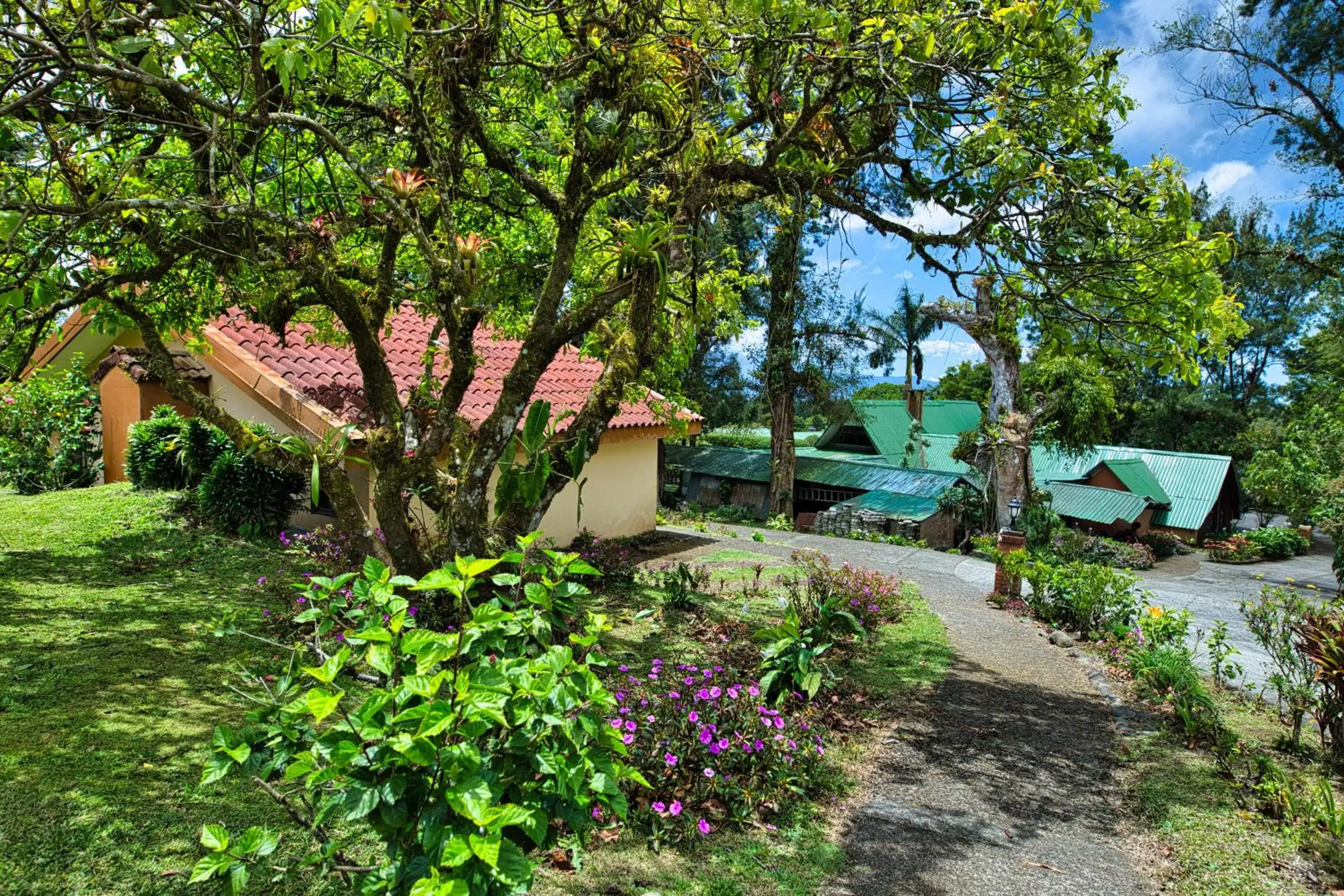 Garden in Hotel Villa Zurqui