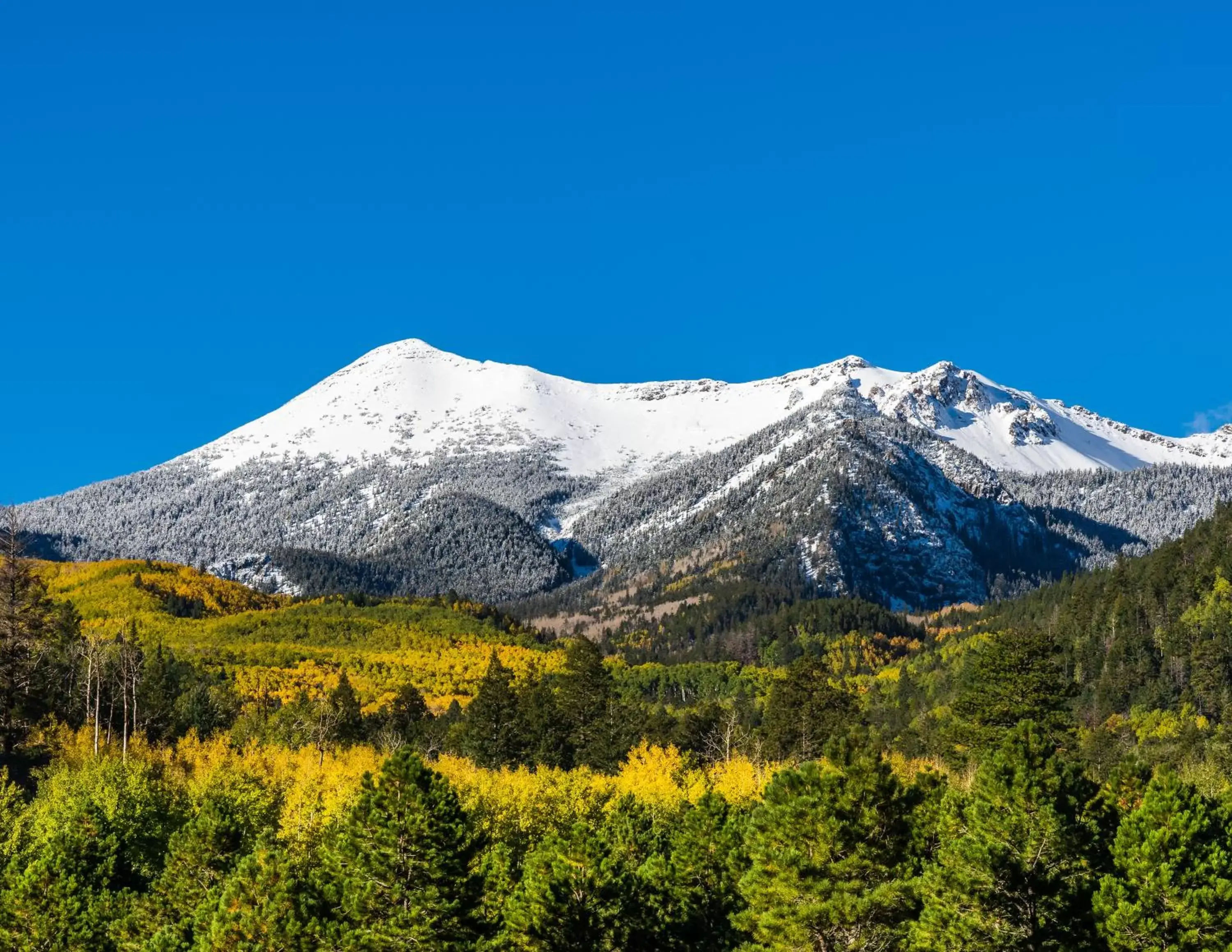 Nearby landmark, Natural Landscape in Bespoke Inn Flagstaff