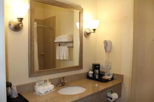 Bathroom in Holiday Inn Express Niles by IHG