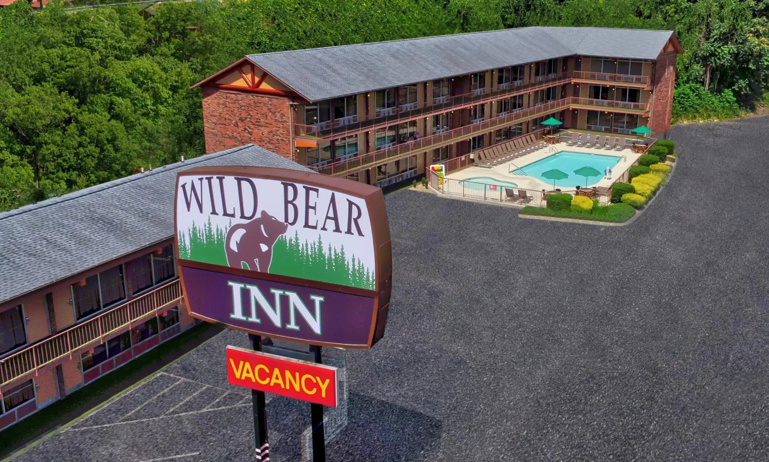 Bird's eye view in Wild Bear Inn Bird's eye view in Wild Bear Inn
