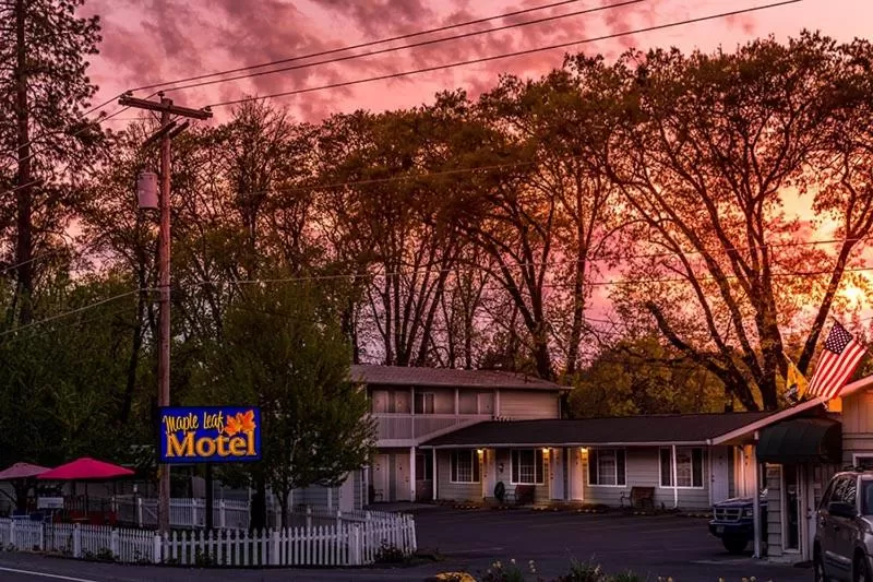 Maple Leaf Motel