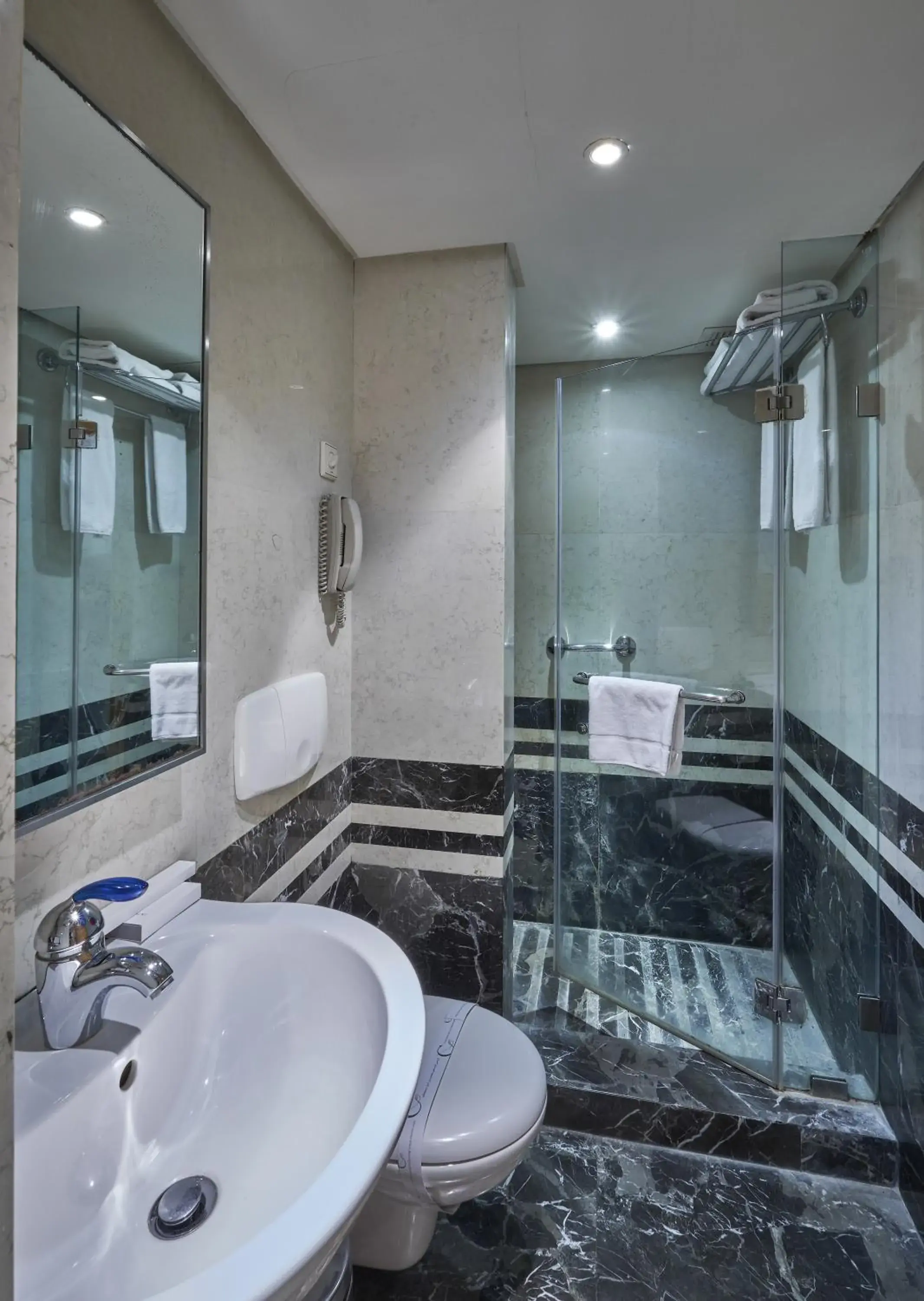 Shower, Bathroom in Coral Beach Hotel And Resort Beirut