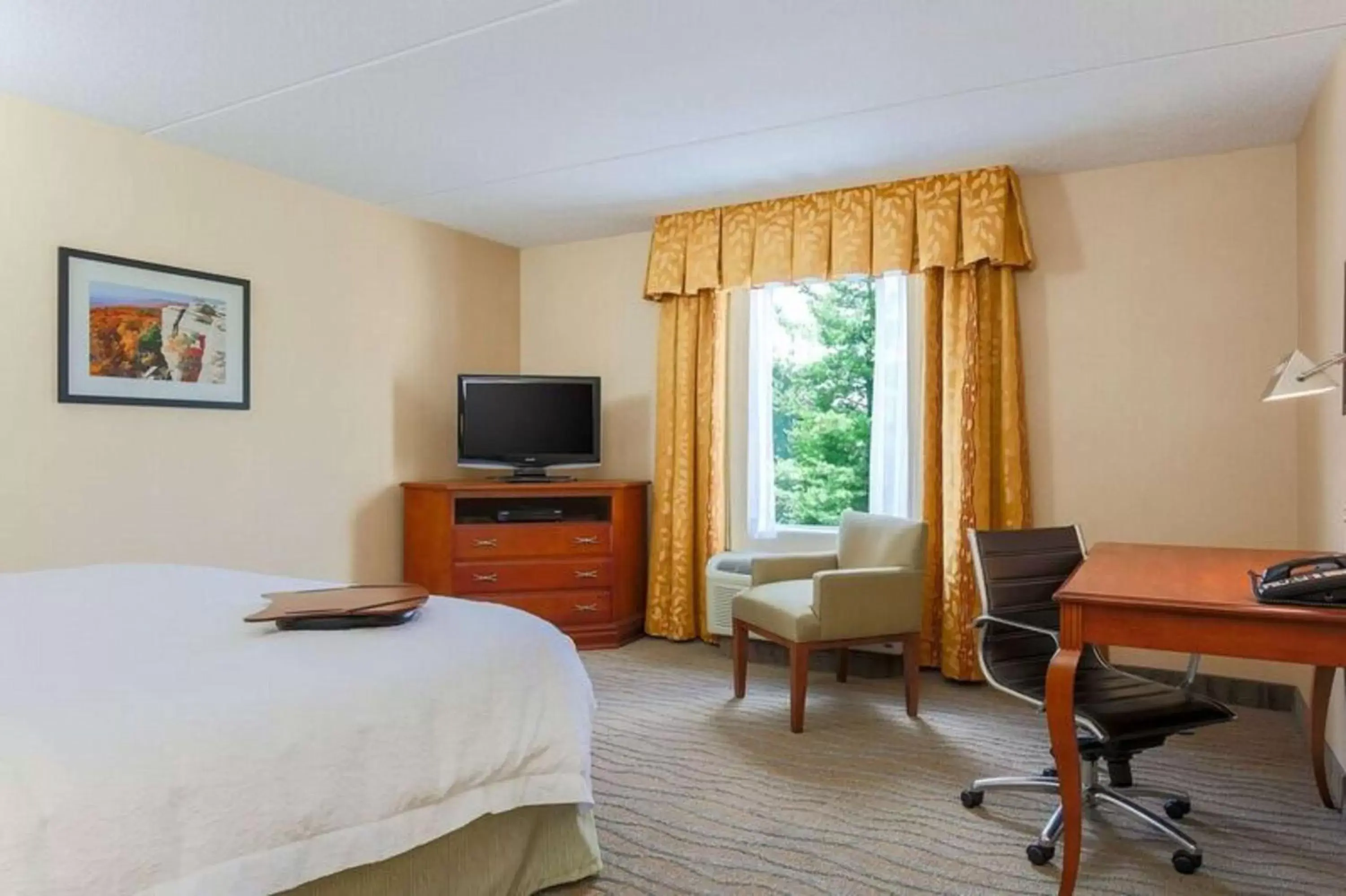 Bed, TV/Entertainment Center in Hampton Inn & Suites Poughkeepsie