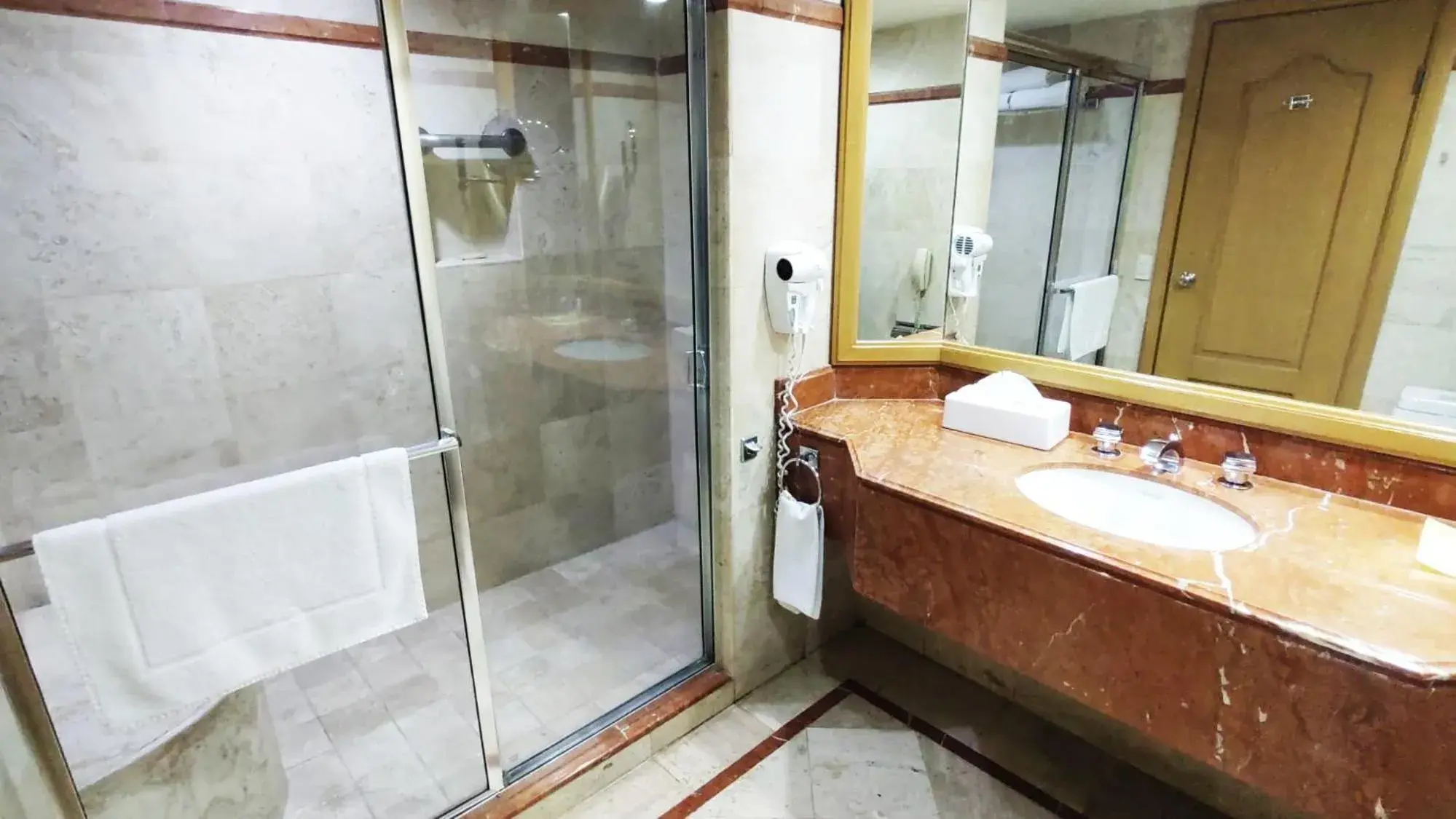 Bathroom in Hotel San Luis Lindavista