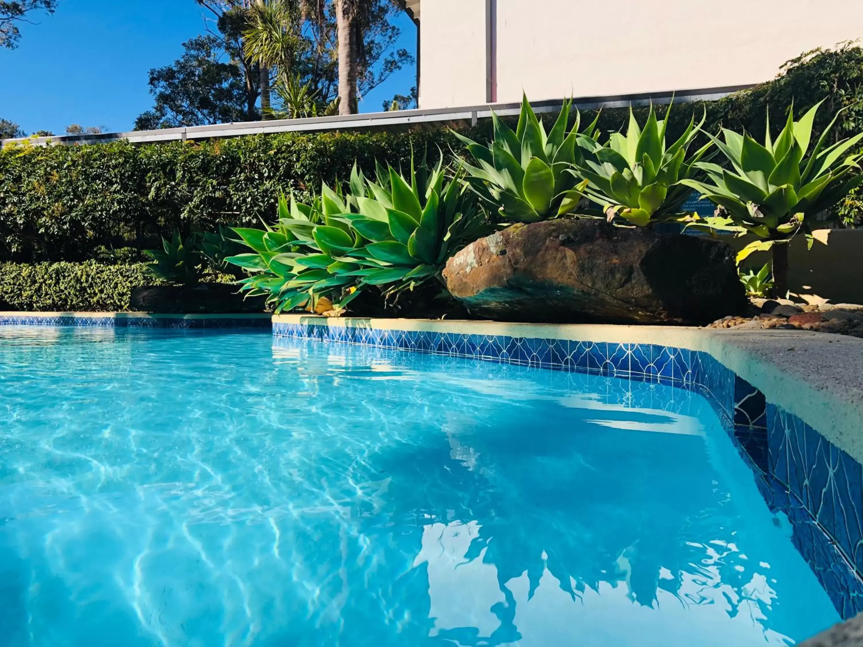 Swimming Pool in Checkers Resort