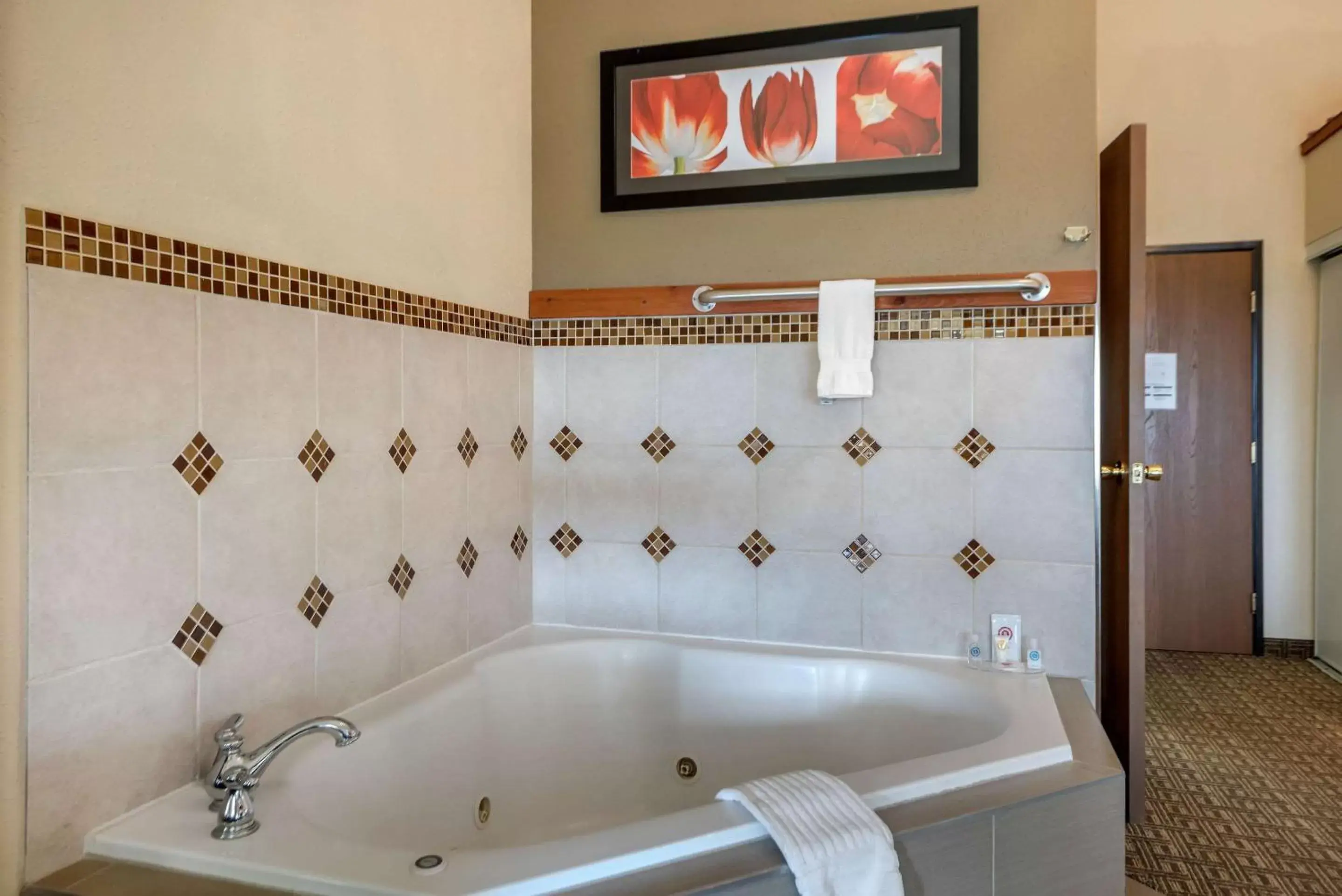 Photo of the whole room, Bathroom in Comfort Inn & Suites Alamosa