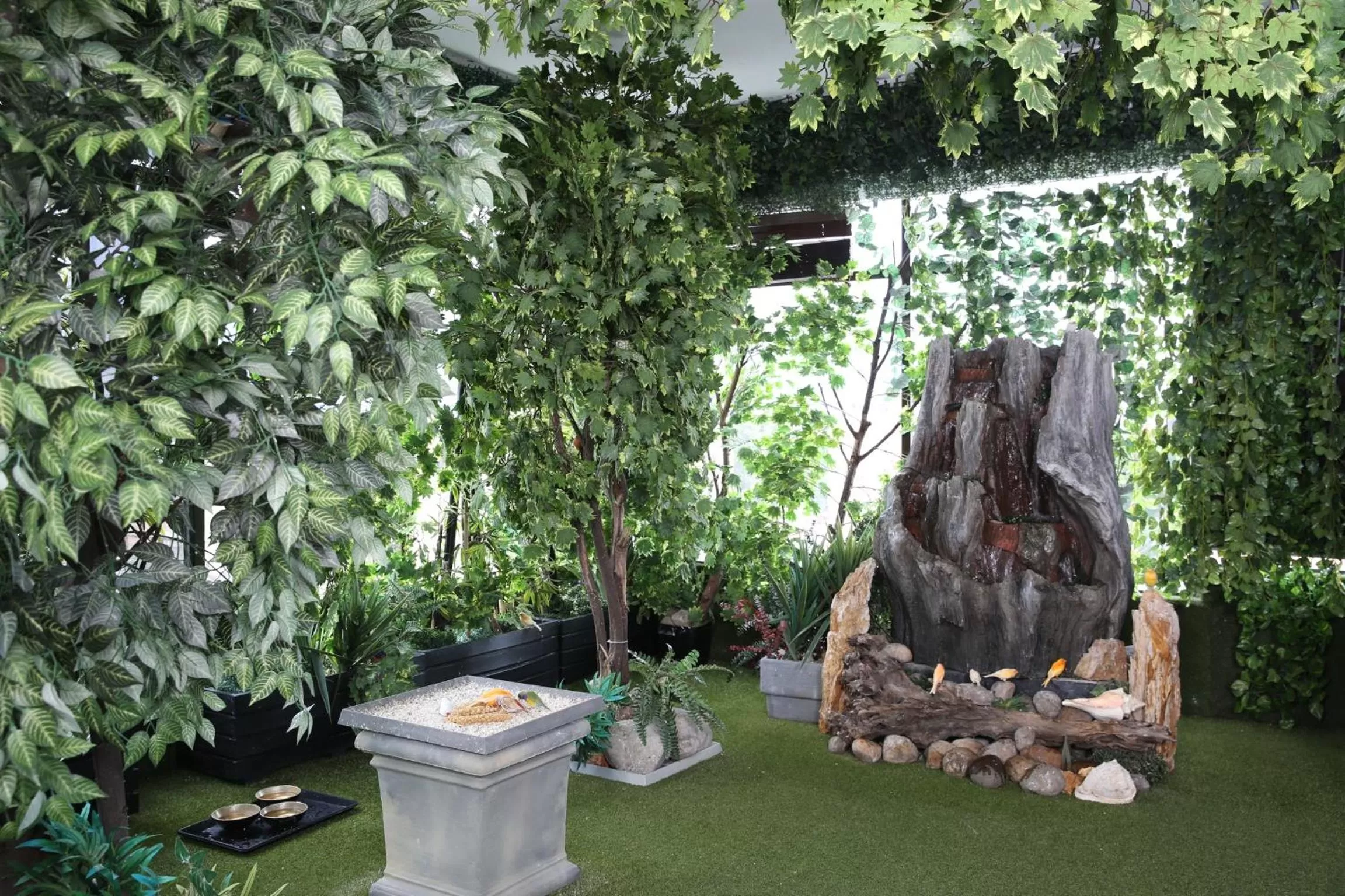 Animals in Hotel Suites 108