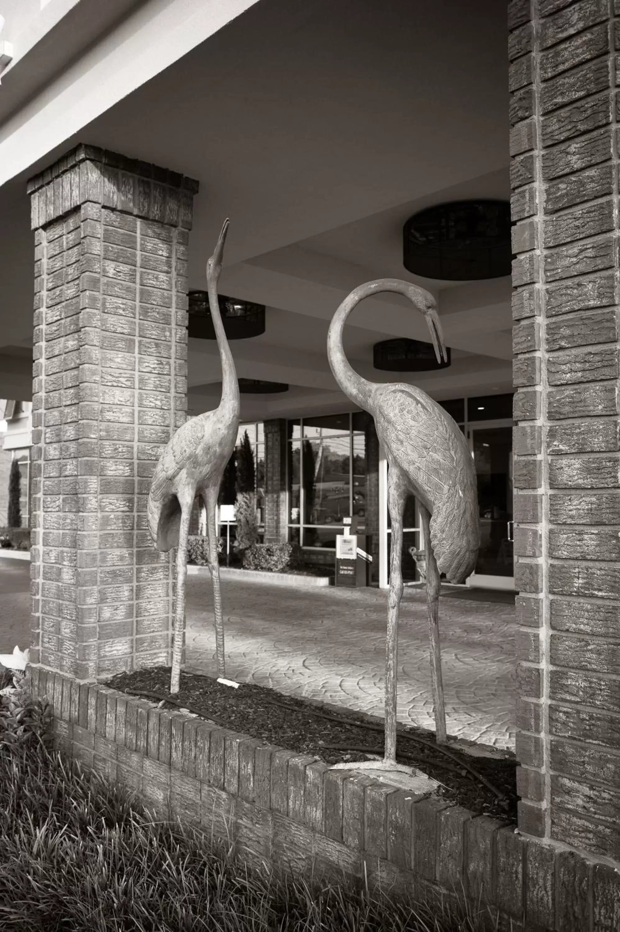 Decorative detail, Fitness Center/Facilities in Town & Country Inn and Suites