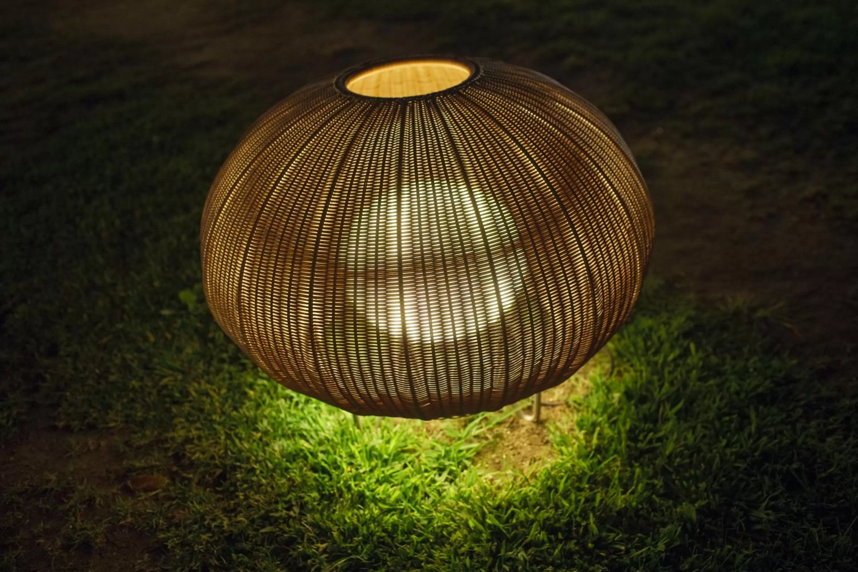 Garden in Oporto Loft