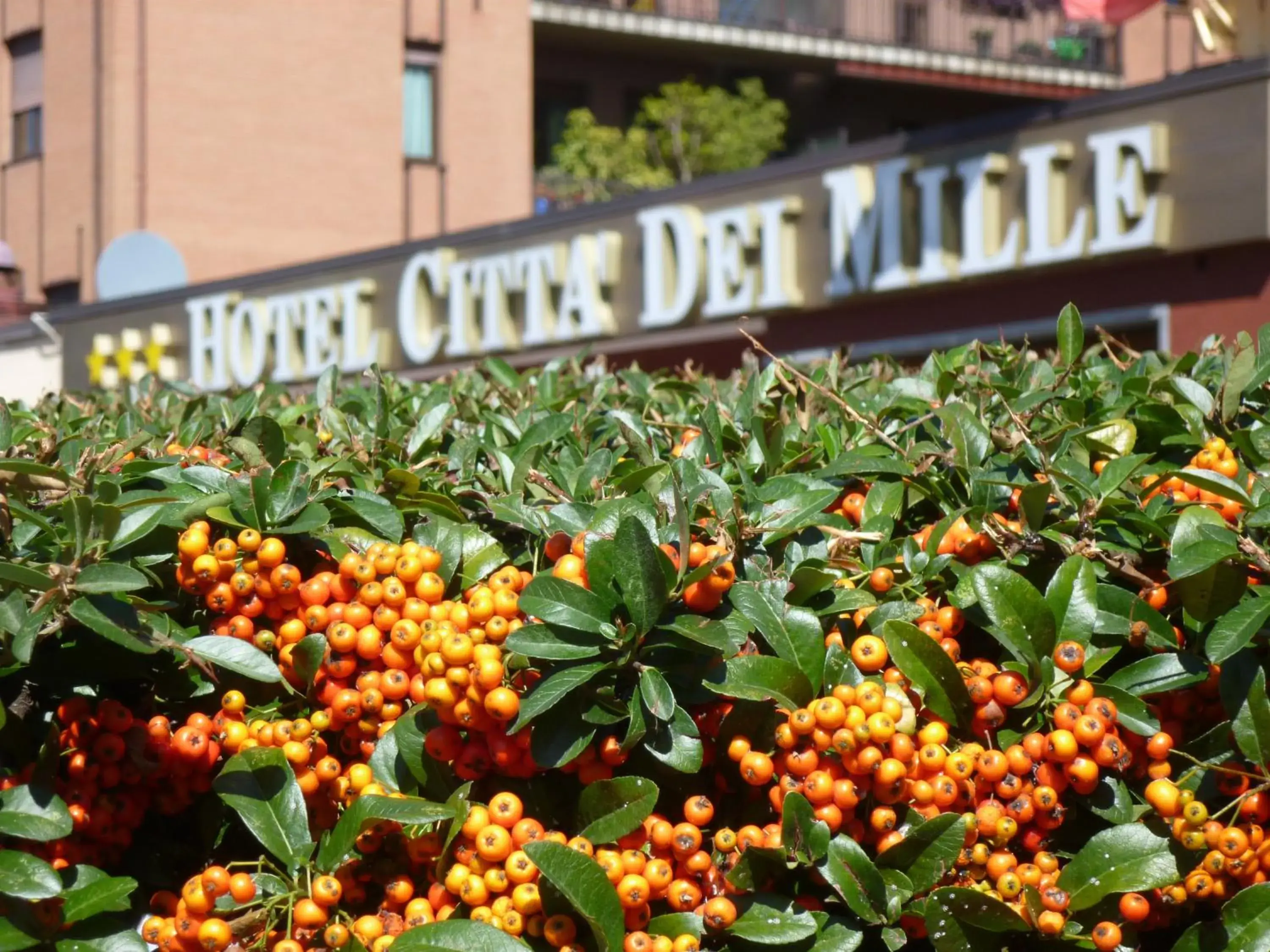 Facade/entrance in Hotel Città Dei Mille